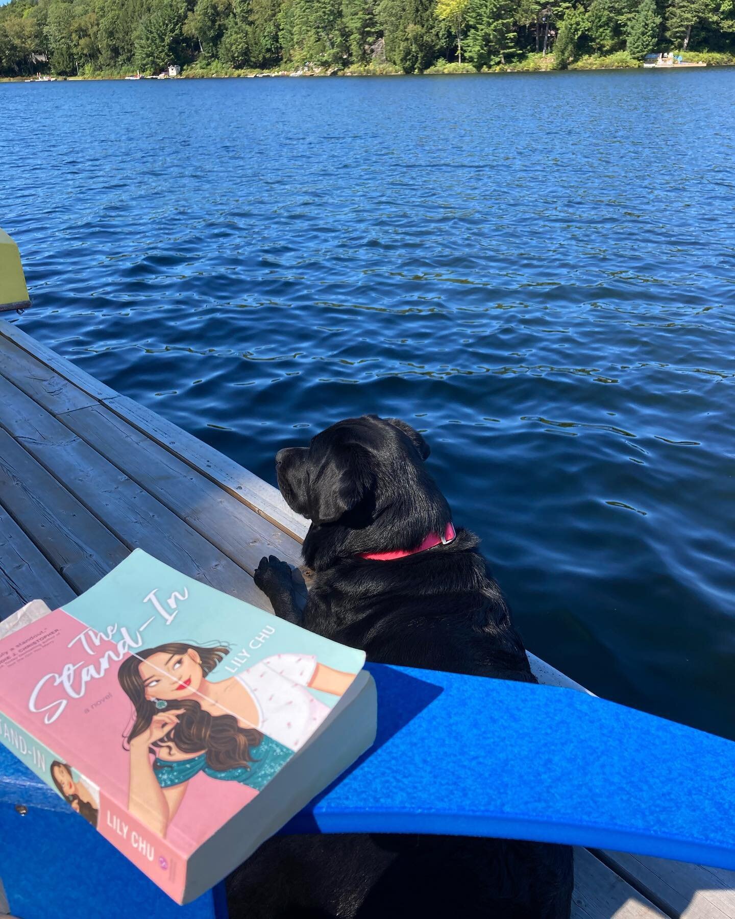 It&rsquo;s Labour Day, which is the unofficial last day of summer. I am not in cottage country, but my book is, with @micheleymcd (who has kept me updated on her reading status all summer) and Gracie the dog. Note, I did not name Gracie after this lo