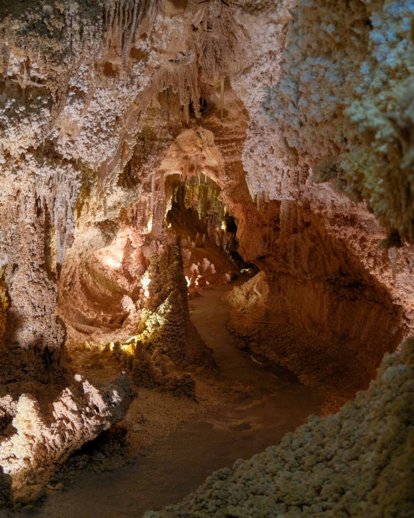 From a road trip out west; Tucson and back.

Along the way were:
-Caverns of Sonora
-the border wall in El Paso
-native artifacts at Centennial Museum and Chihuahuan Desert Gardens, El Paso
-screwbean mesquite, El Paso
-Scenic dr, overlooking El Paso