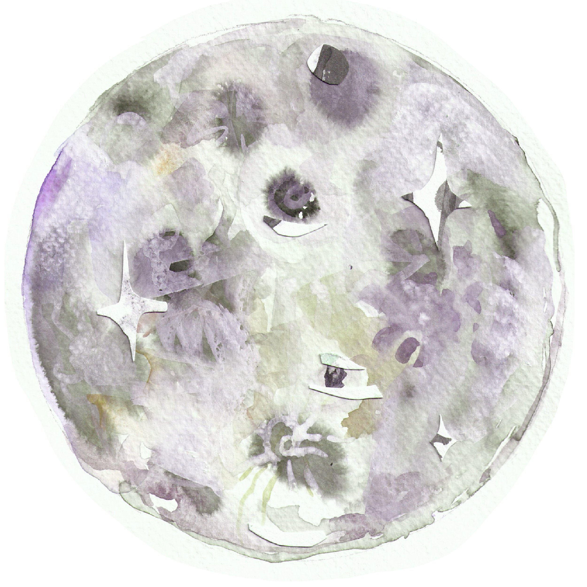 1024catmoon.jpg