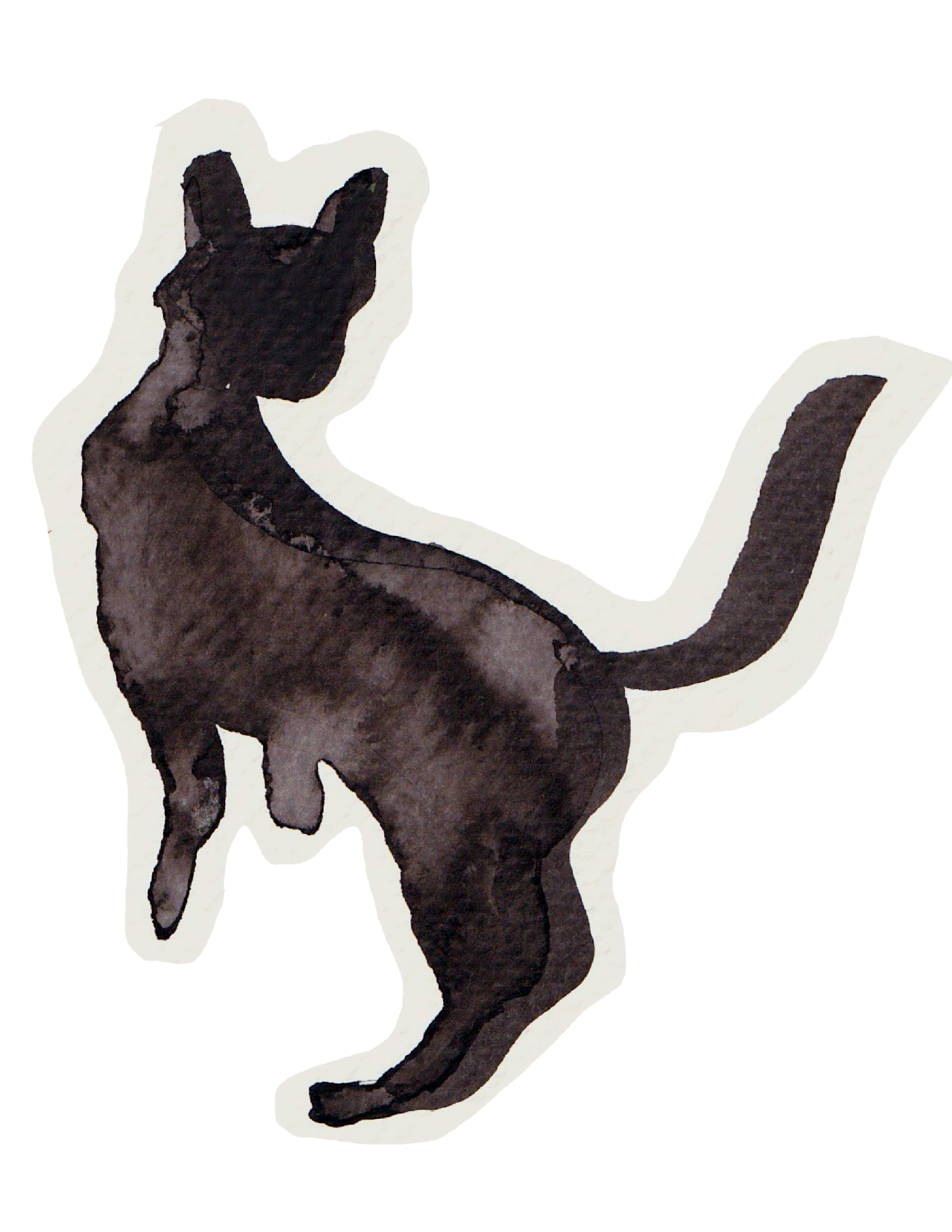 1024turningcat.png