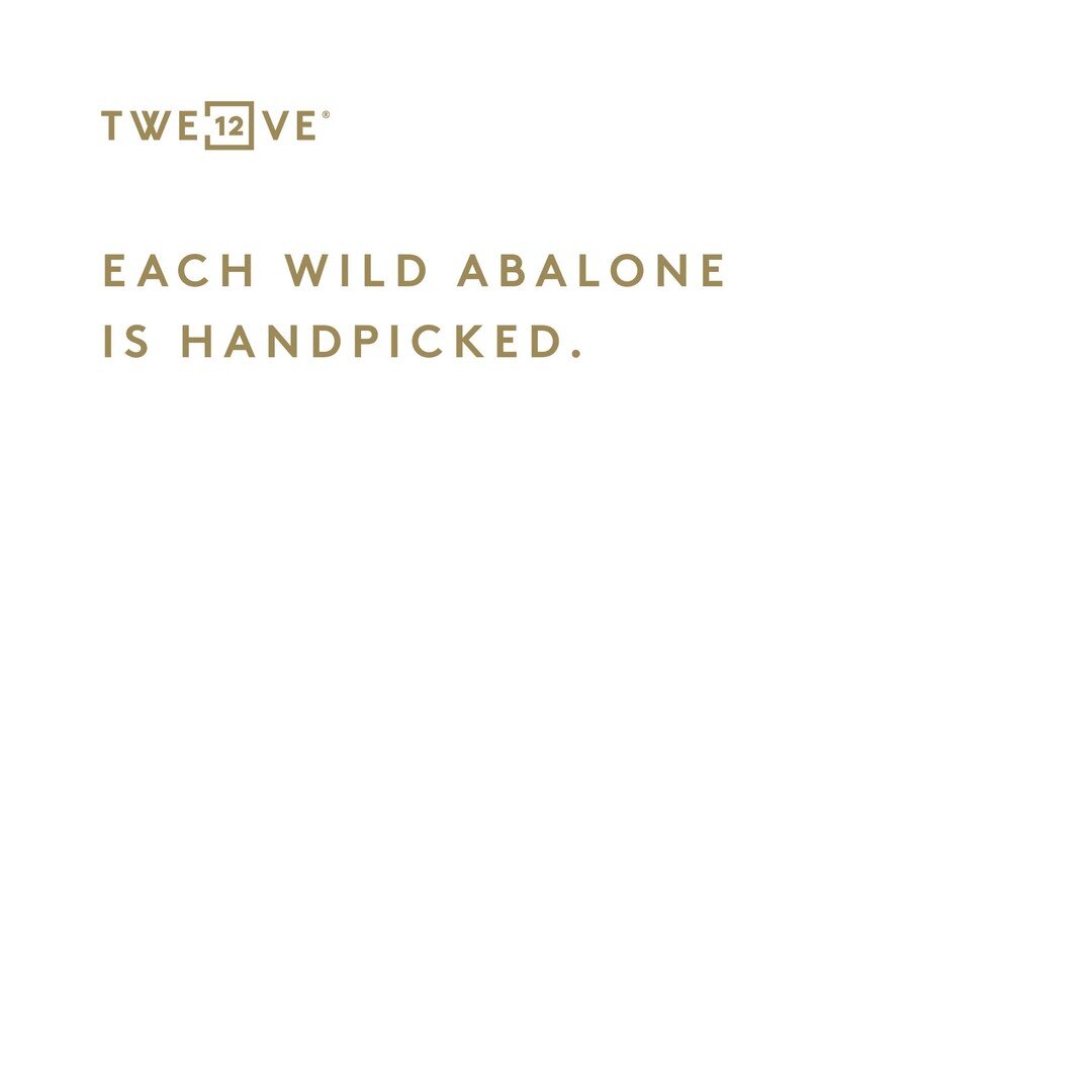 Twelve Abalone is proud to say that each of our Wild Australian Abalone is handpicked by our fishermen who risk their lives to supply us with the best quality abalone available in Australia. They dive into the deep waters of the Southern Ocean up to 