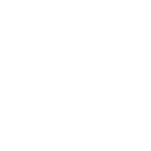 Bklyner (Copy)