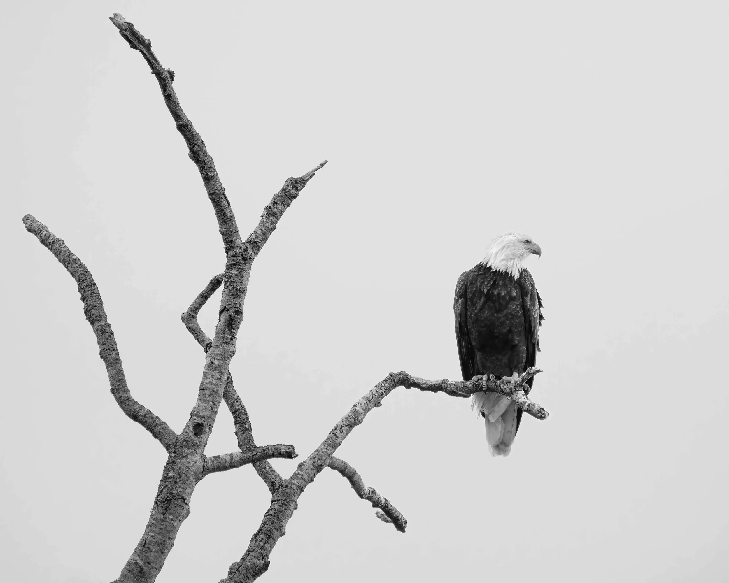 DSCF5724-Edit.jpg