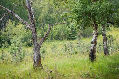 landscape-title-image.jpg