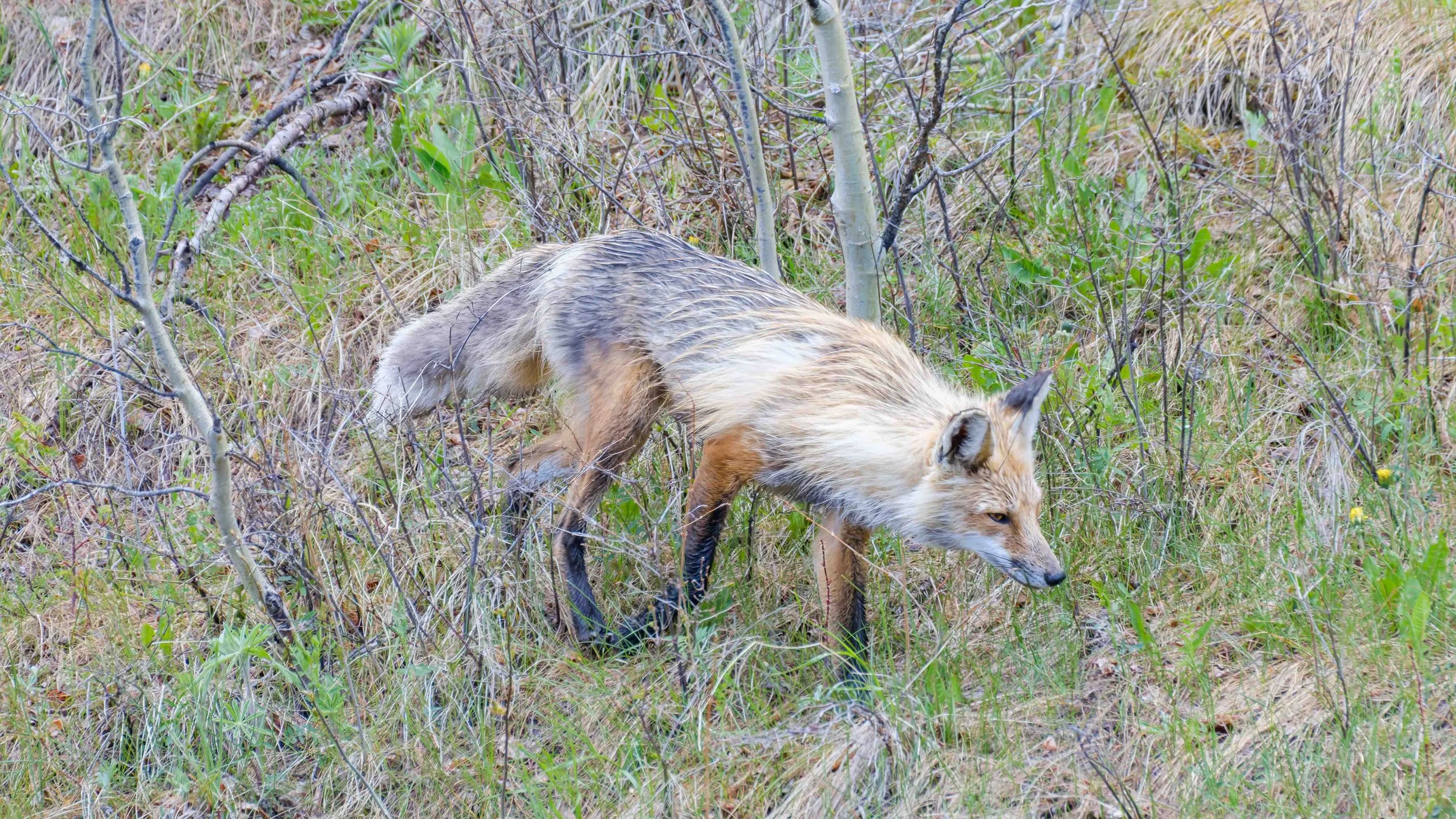 DSCF4870.jpg