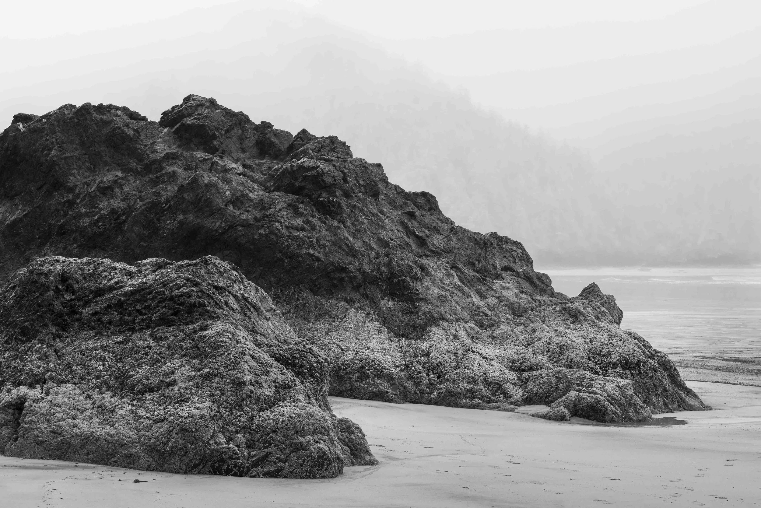 _DSC4253-Edit.jpg