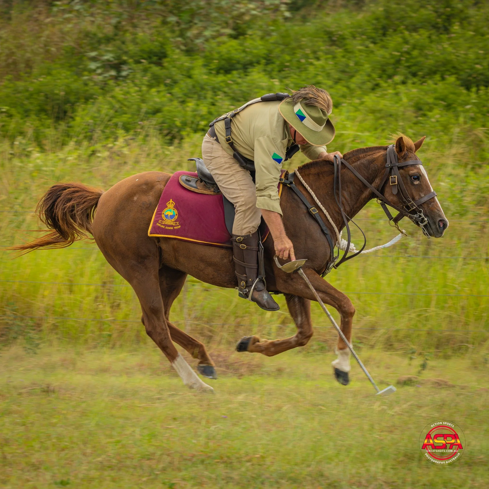 1 peg.jpg