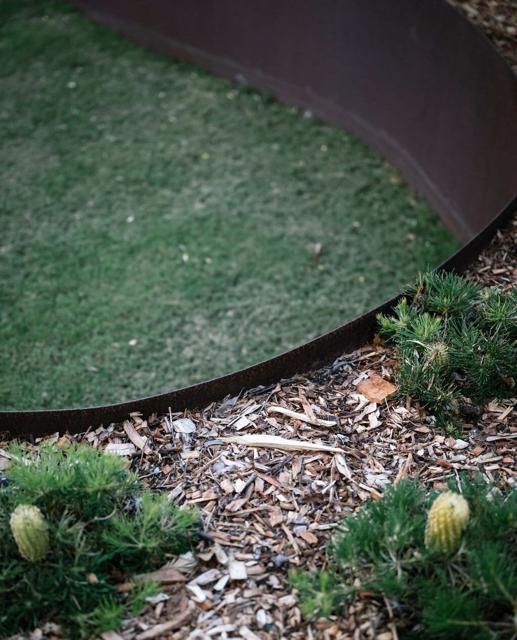 Gorgeous deep steel lawn edging. 👌⁠
⁠
Garden design @juliecrowedesign⁠
📸 @janisalwayshashercamera