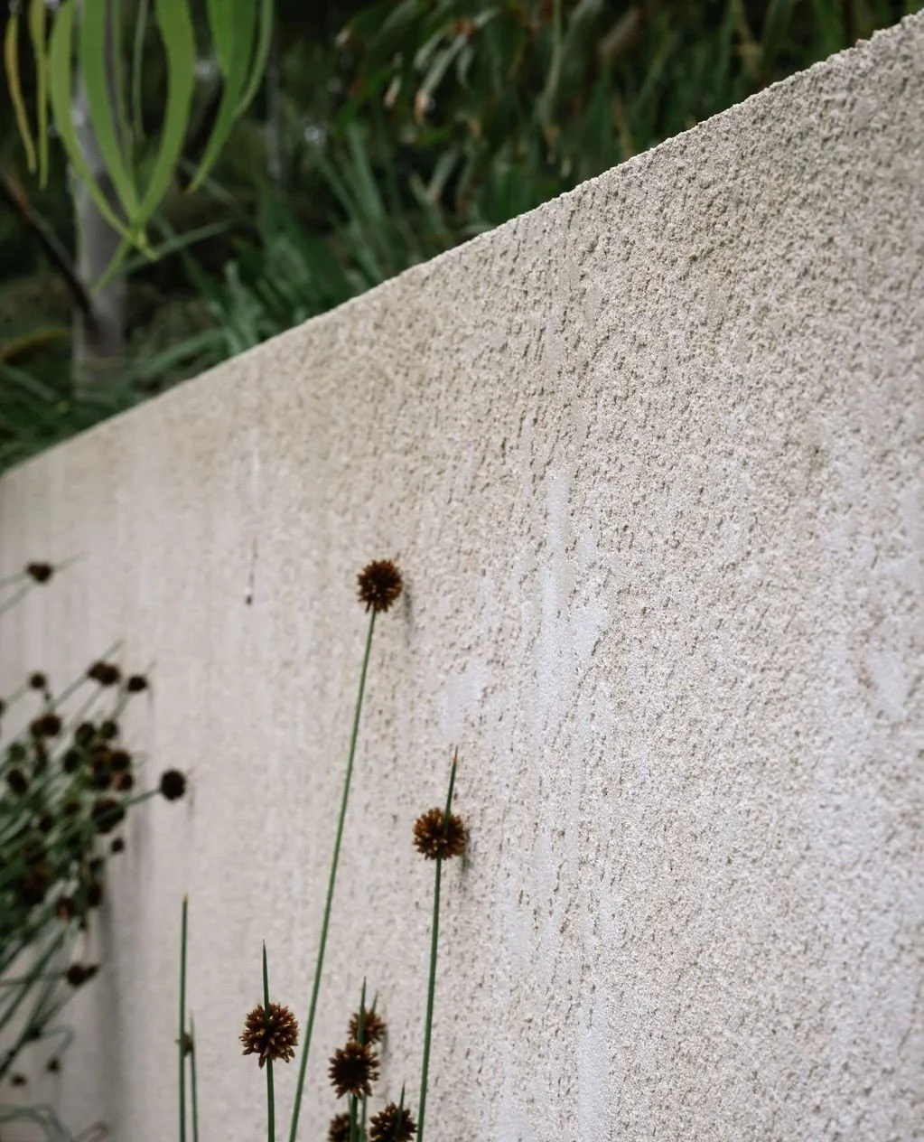 The rendered blade wall gives planting something to read against.⁠
⁠
The finish is deliberately textural, with depth and variation. ⁠
⁠
Landscapes design @acre.landscape⁠
📷 @janisalwayshashercamera