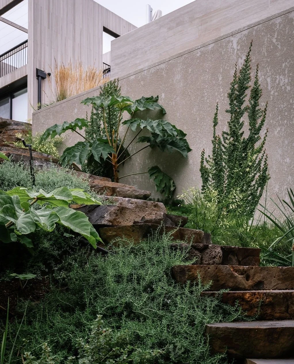 Bluestone steps track the fall of the land, each tread adjusted on site.⁠
⁠
A rendered wall sits in front of the pool, giving the space structure and clarity.⁠
⁠
Landscape design @acre.landscape⁠
Build @saltvubuilders⁠
📷 @janisalwayshashercamera⁠