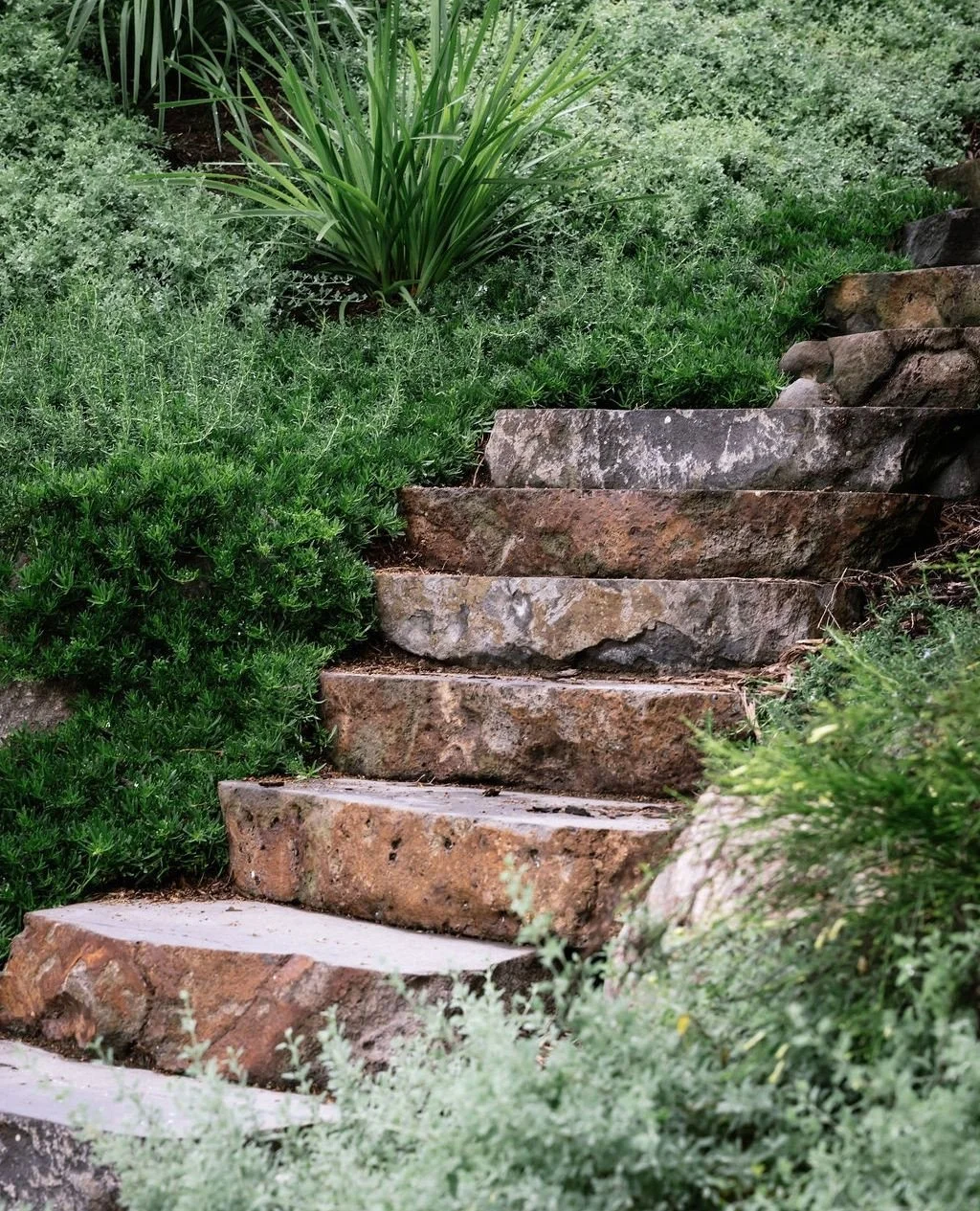 Bluestone steps through the garden.⁠
⁠
Placed to follow the natural fall of the site. The planting establishes around the stone and the steps start feeling like they have always been there.⁠
⁠
That is what hard and soft landscaping does when they are