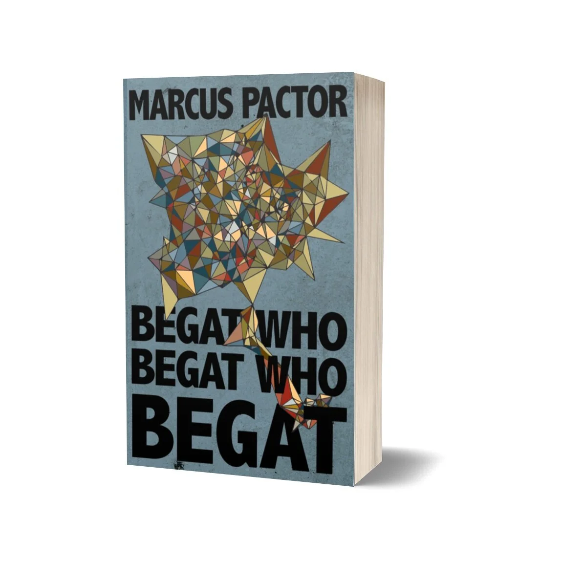 Begat Who Begat Who Begat