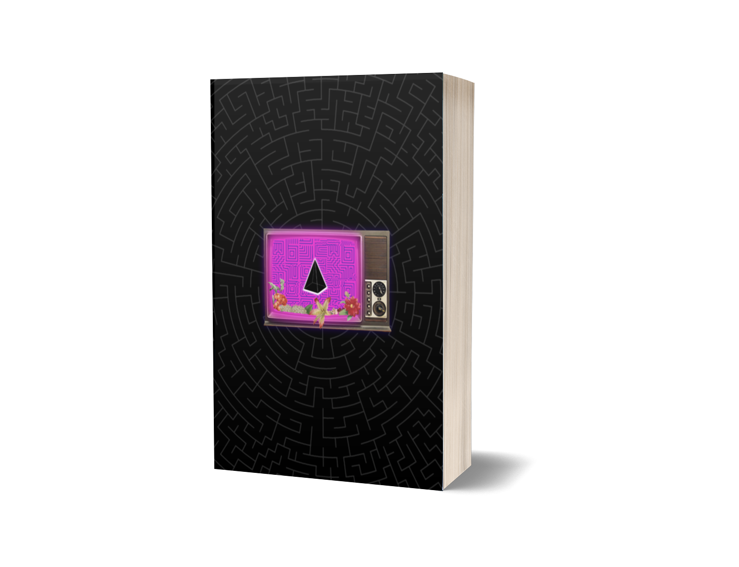 Pre-Orders for Leopold's Labyrinth