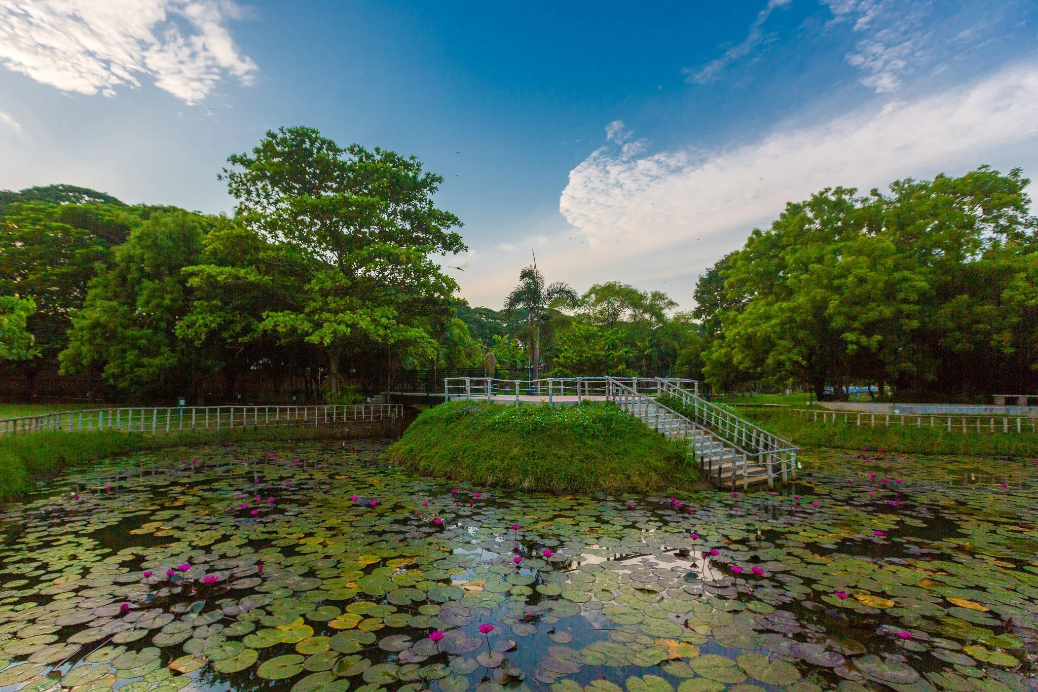 Best Outdoor Lawn Wedding Venues in Chennai SPP Gardens