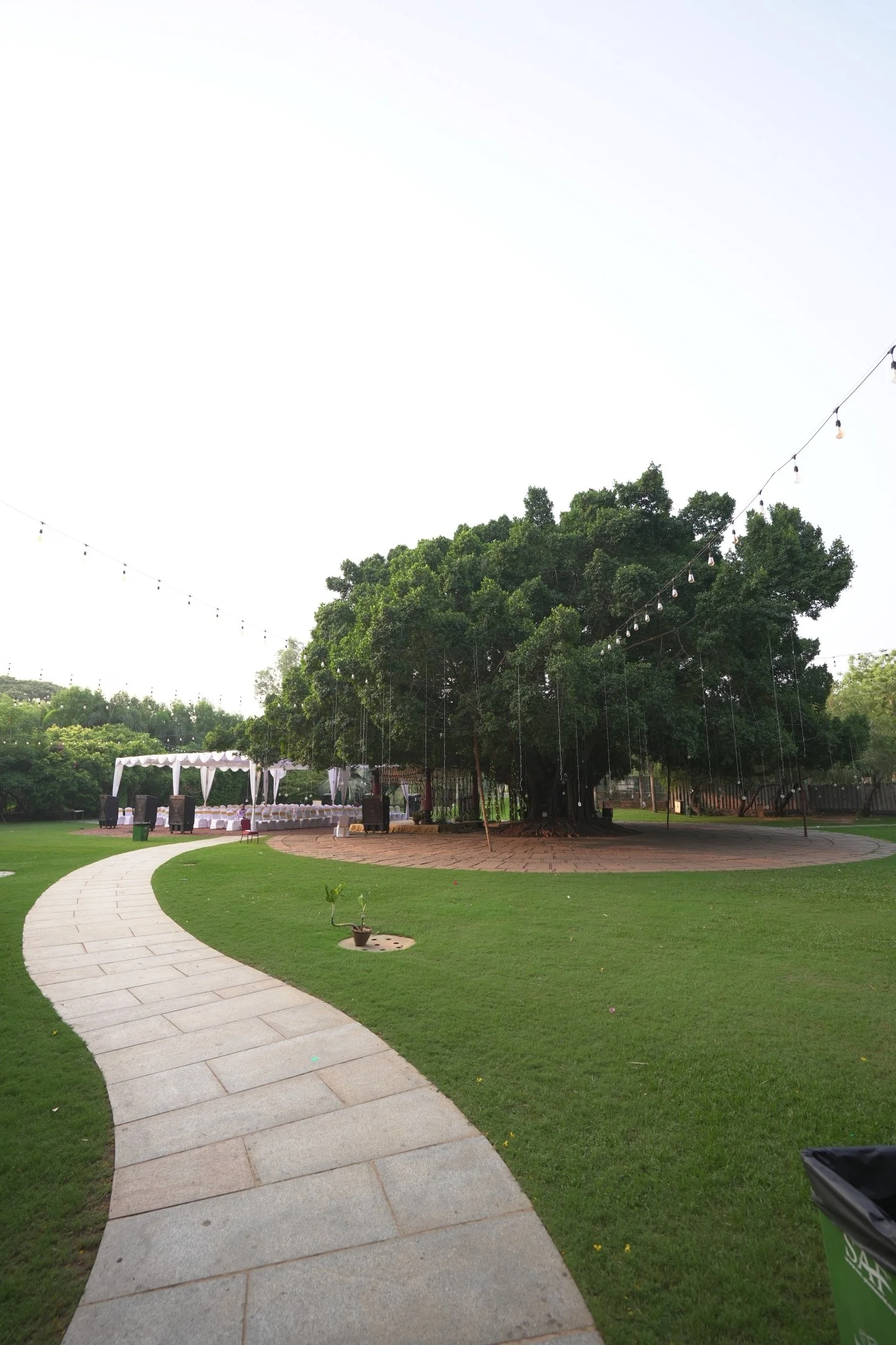 SPPG-Ficus-Lawn-19-MAY-2026-01.JPG