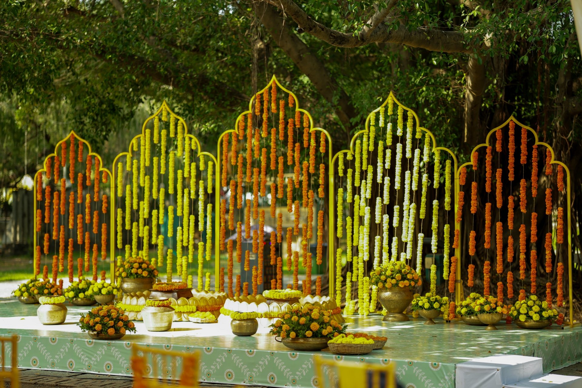 SPPG-Ficus-Lawn-Haldi-25-FEB-2026-07.jpg