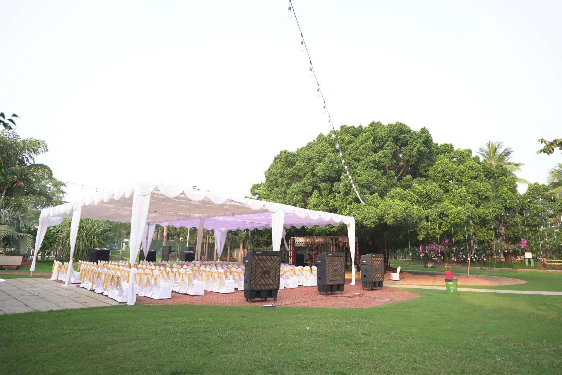 SPPG-Ficus-Lawn-19-MAY-2026-04.JPG