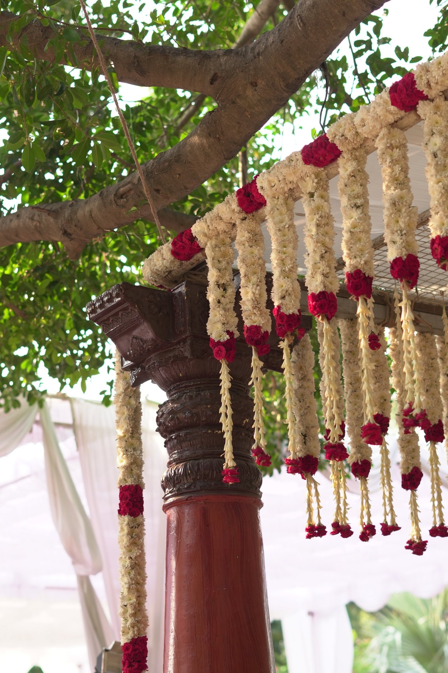 SPPG-Ficus-Lawn-19-MAY-2026-08.JPG