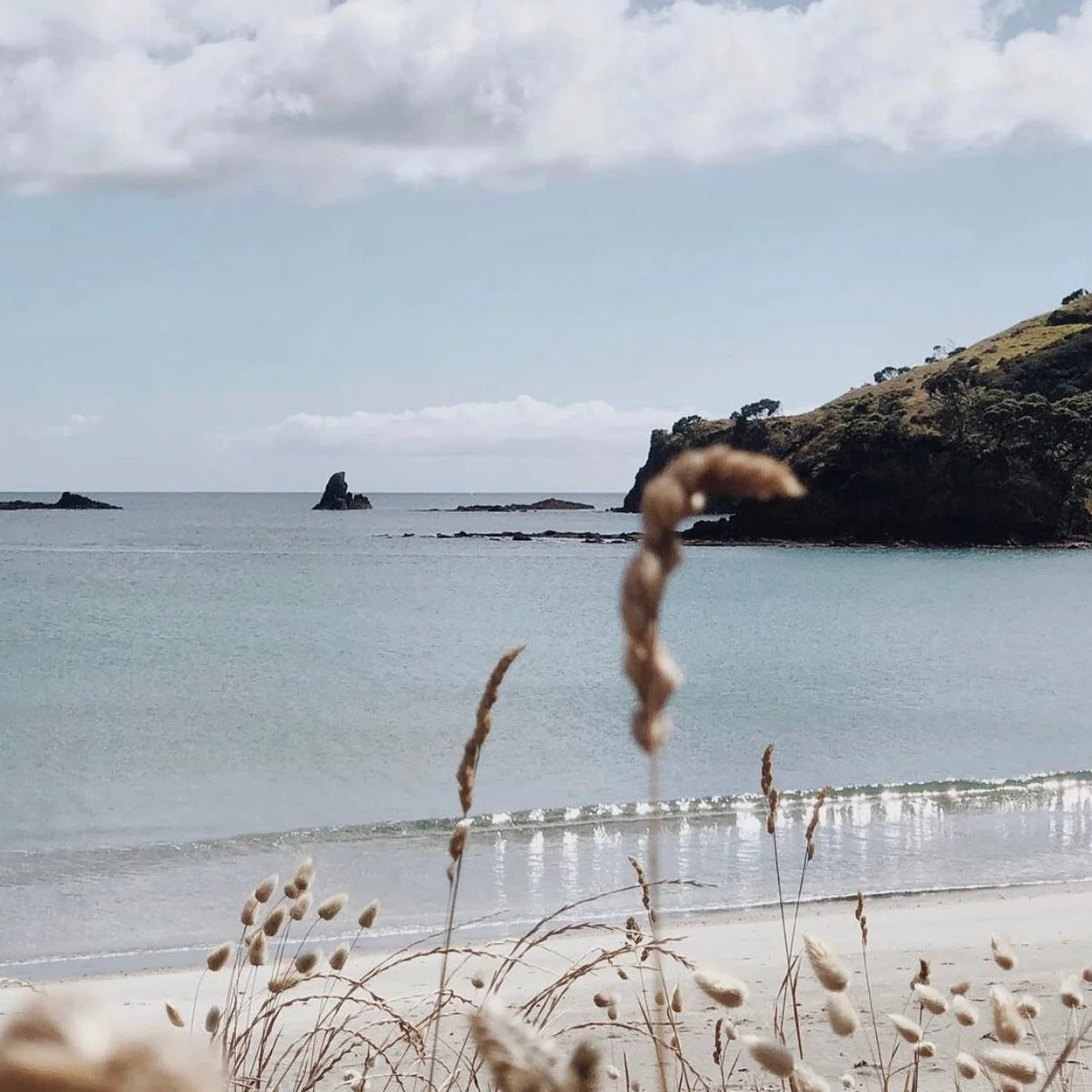&ldquo;Breath is the bridge which connects life to consciousness, which unites your body to your thoughts.&rdquo; &ndash; Thich Nhat Hanh 
#breathe #waiheke #waihekephysiopilates #pilates #physio #infraredsauna #oneroa