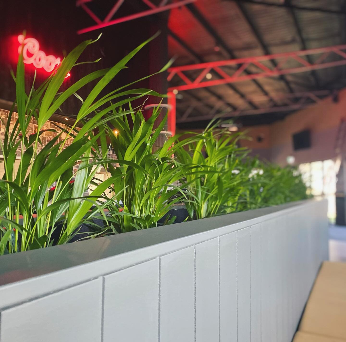 a glimpse of the new + very much improved @lastslice_pizza, on the eve of doors open. a long time in the making and a privilege to be a part of it!
&bull;
slices unleashed tomorrow from 11! 🍻🍕 
&bull;
#vervelandscapes #lastslicepizza