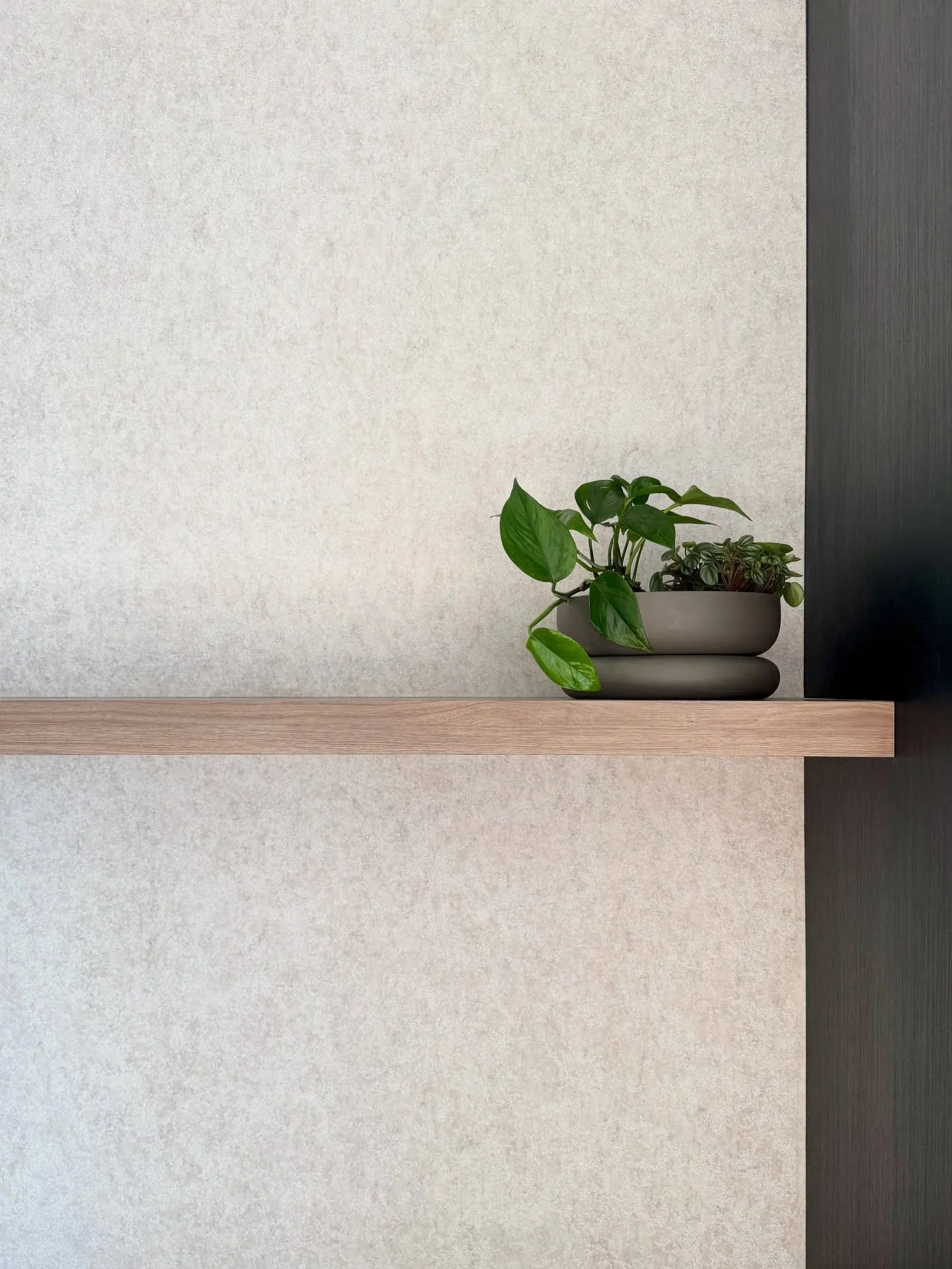 Office plants for local IT legends @brisktechnology 🪴
layout by @mergedesign &bull;