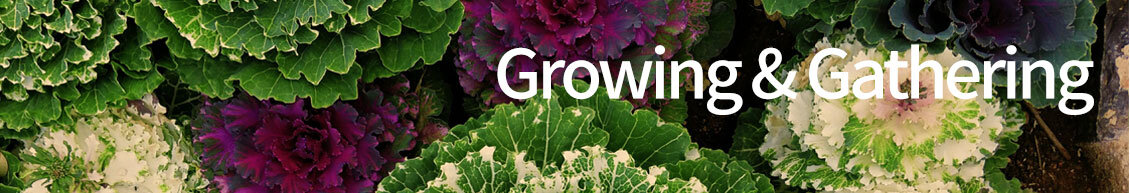 The Farmbook Project The Farmbook Project