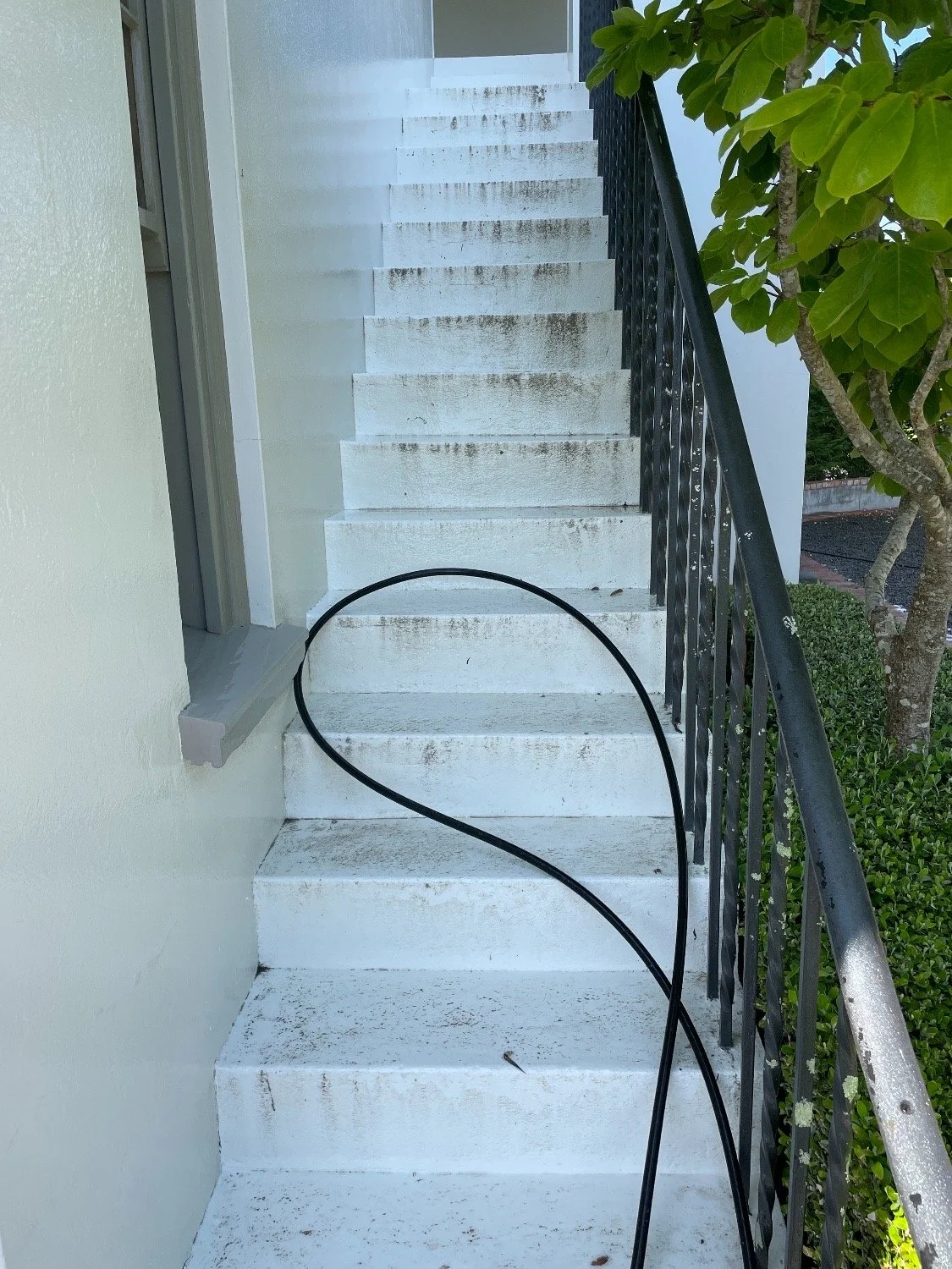 Prepare Your Home for Winter: Why Autumn Exterior Cleaning Is Essential in New Zealand