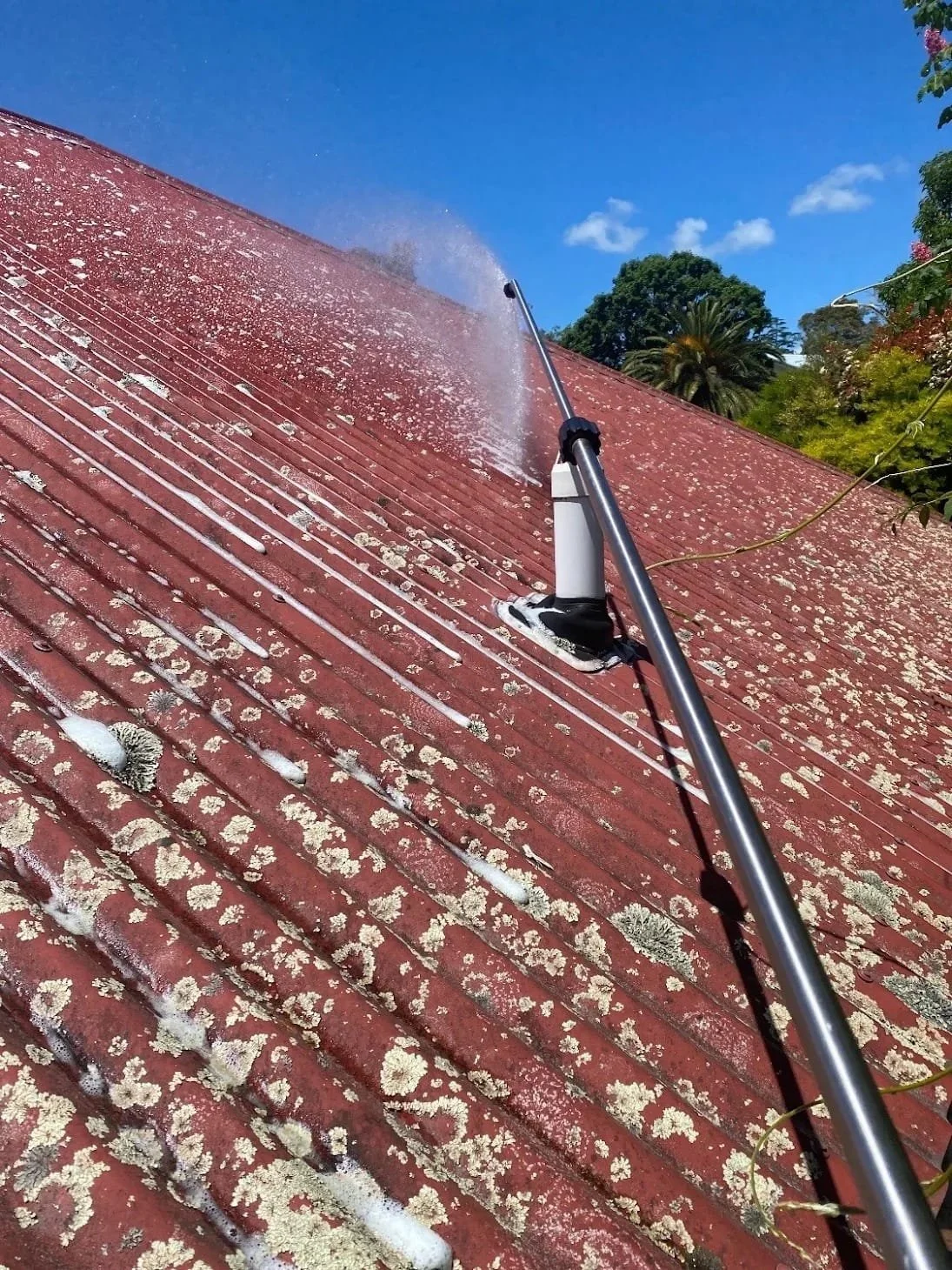 Why Roofs Get Moss in Auckland, And What to Do About It