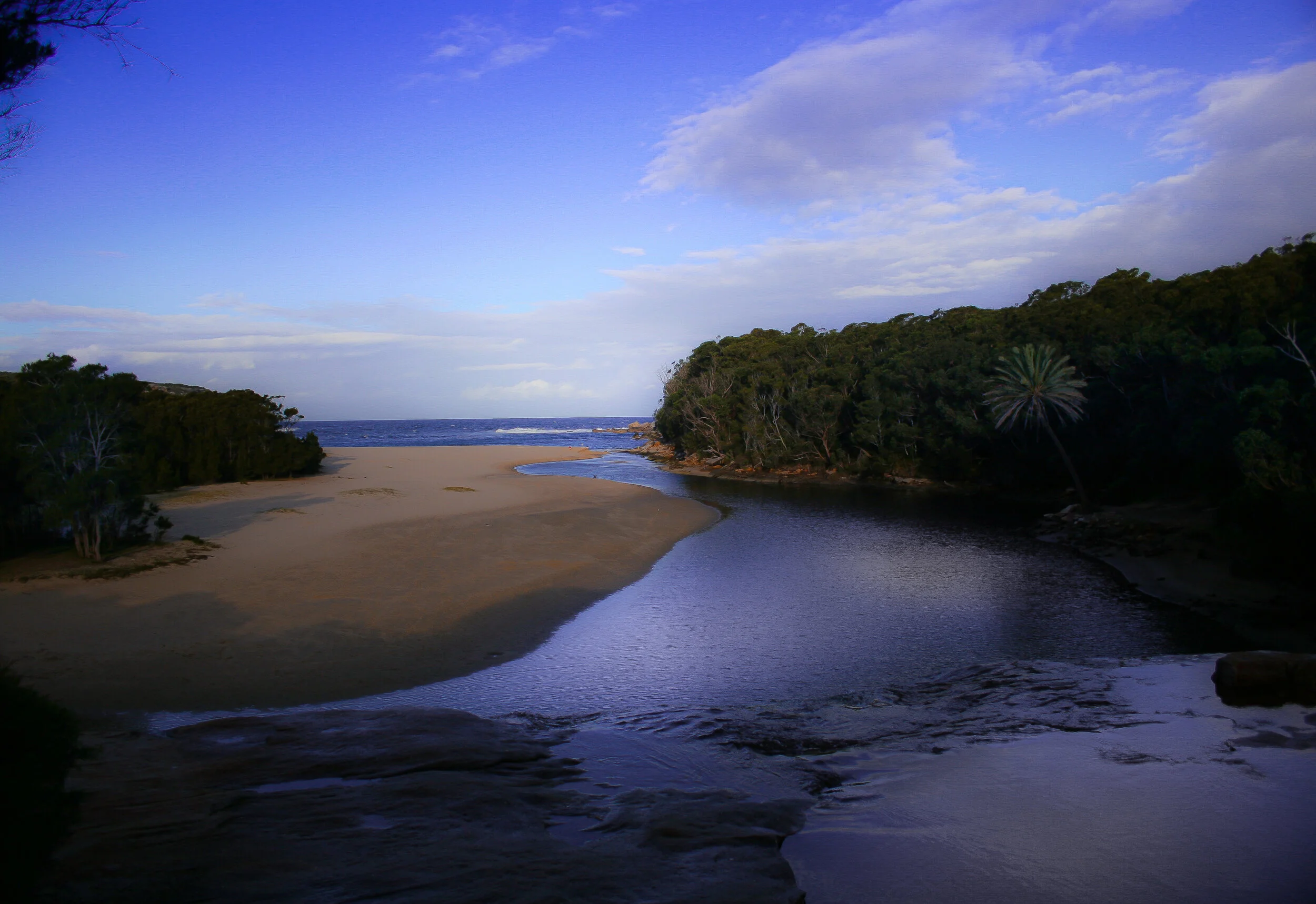 Royal National Park 045.jpg