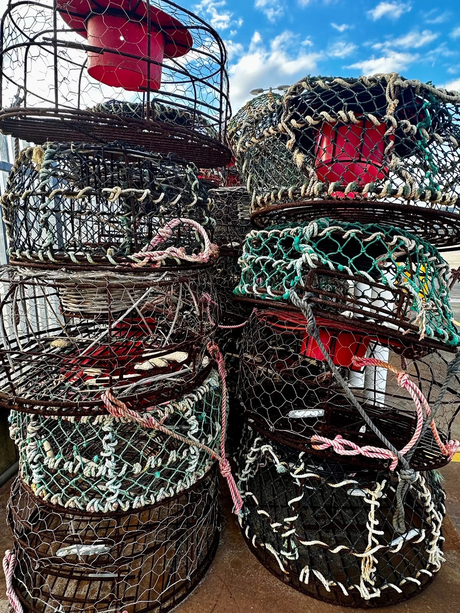 IMG_0601.jpeg