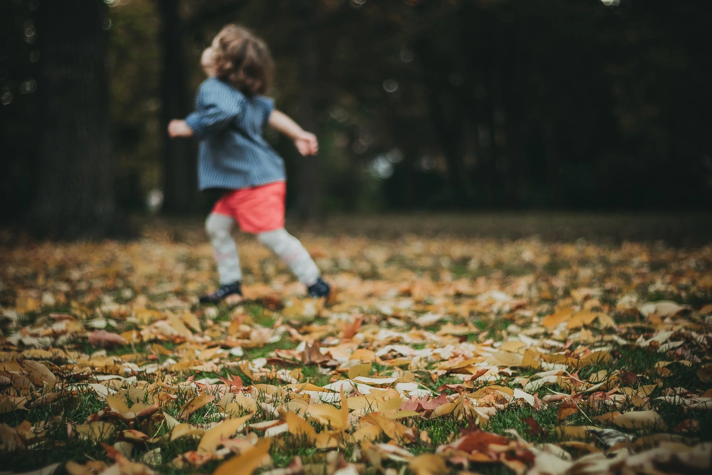 unsplash-image-pxBdeFHmvaI.jpg