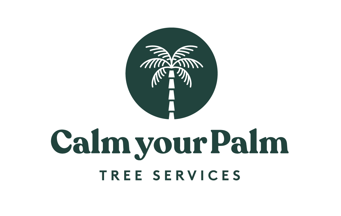 Are Queen Palm Tree Nuts Poisonous To Dogs