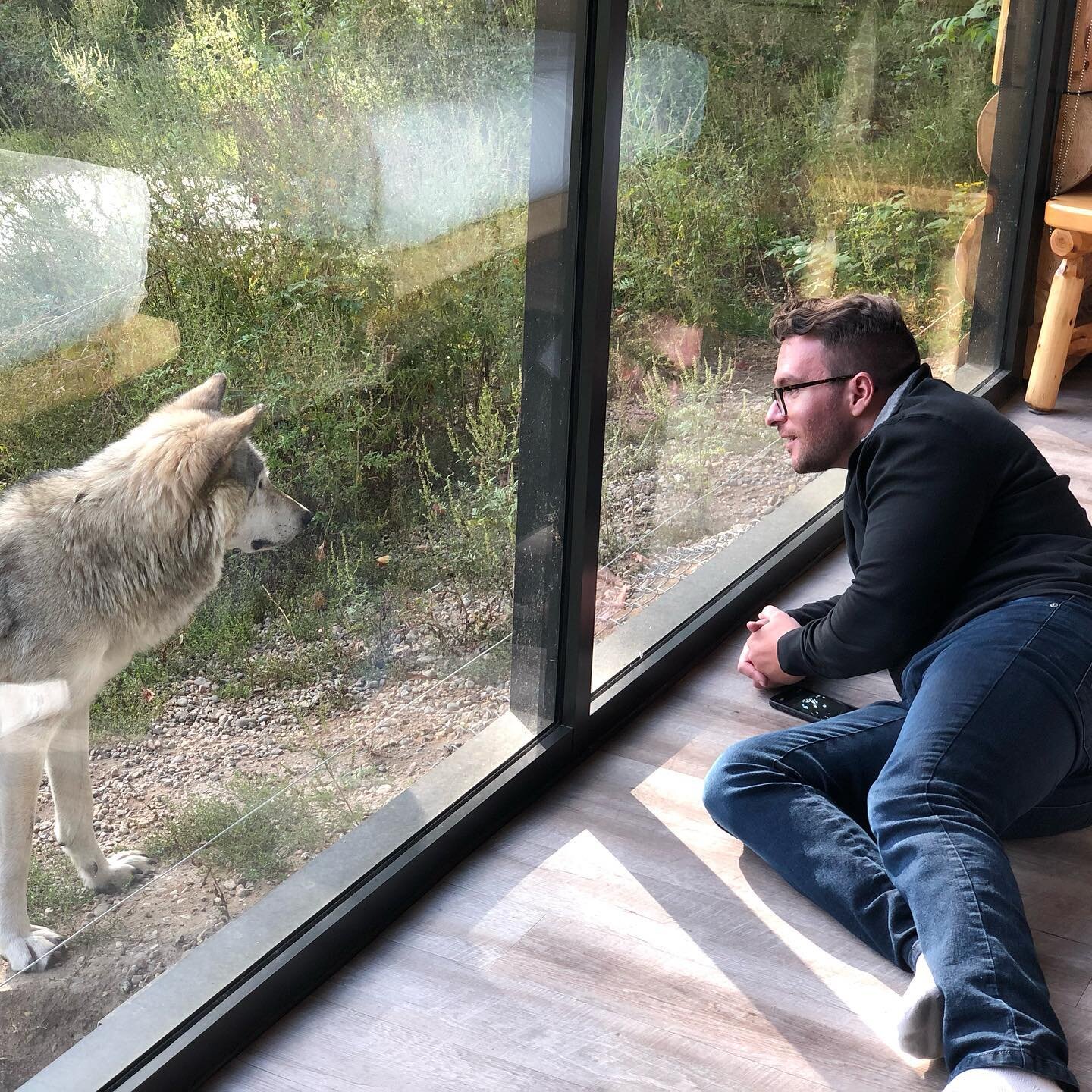 Today I turned 30🥳...I spent my weekend in a cabin with  a Wolf sanctuary in our front yard. I was beyond spoiled with all the things❤️...and animals I love🥰. I loved falling asleep and waking up with the wolves #30 #UnbelievablyGrateful #Virgo #Wo
