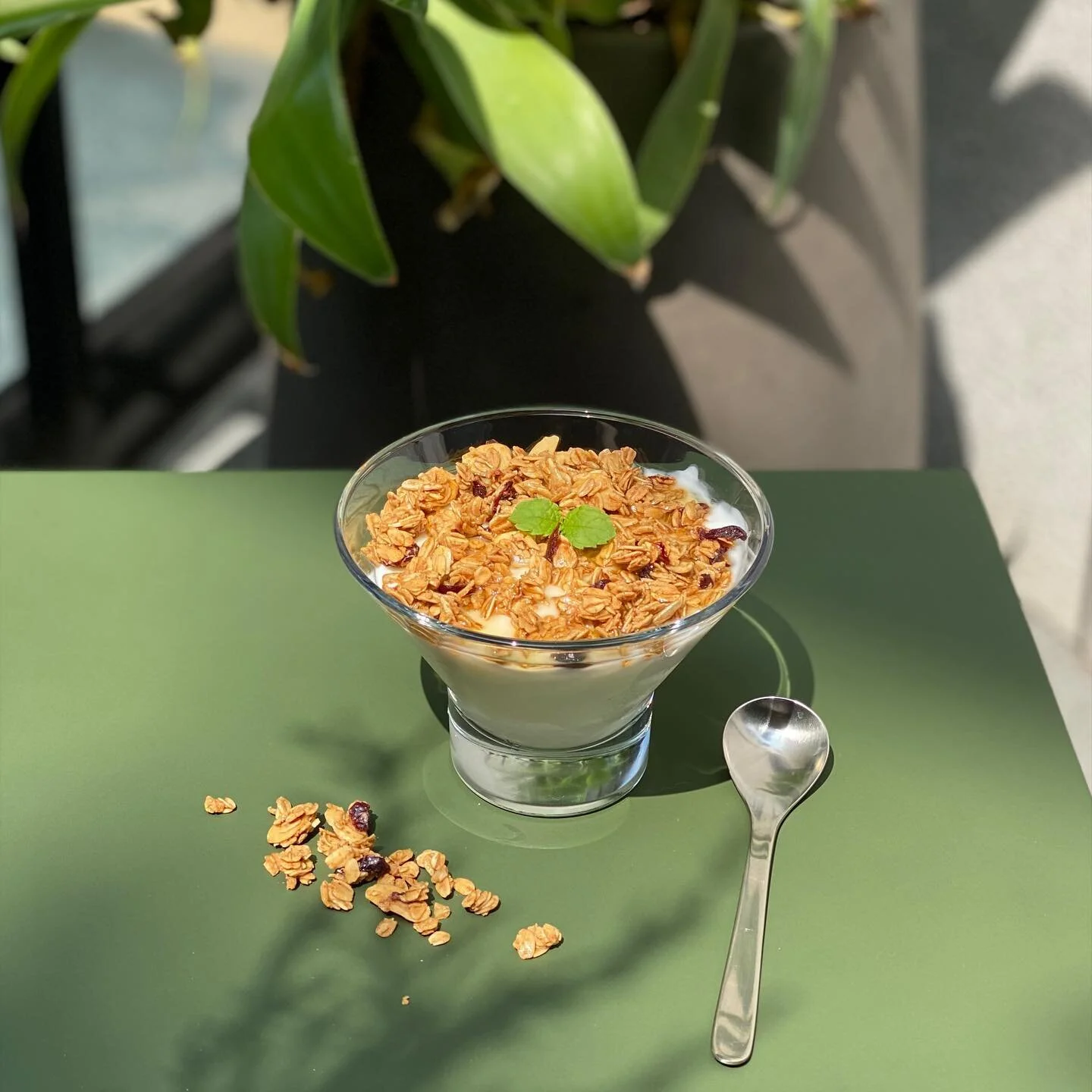 夏天好熱，吃不下飯就來碗清爽的蜂蜜燕麥優格吧！

#yogurt #yogurtbowl #granola #eathealthy #summerfood #honey