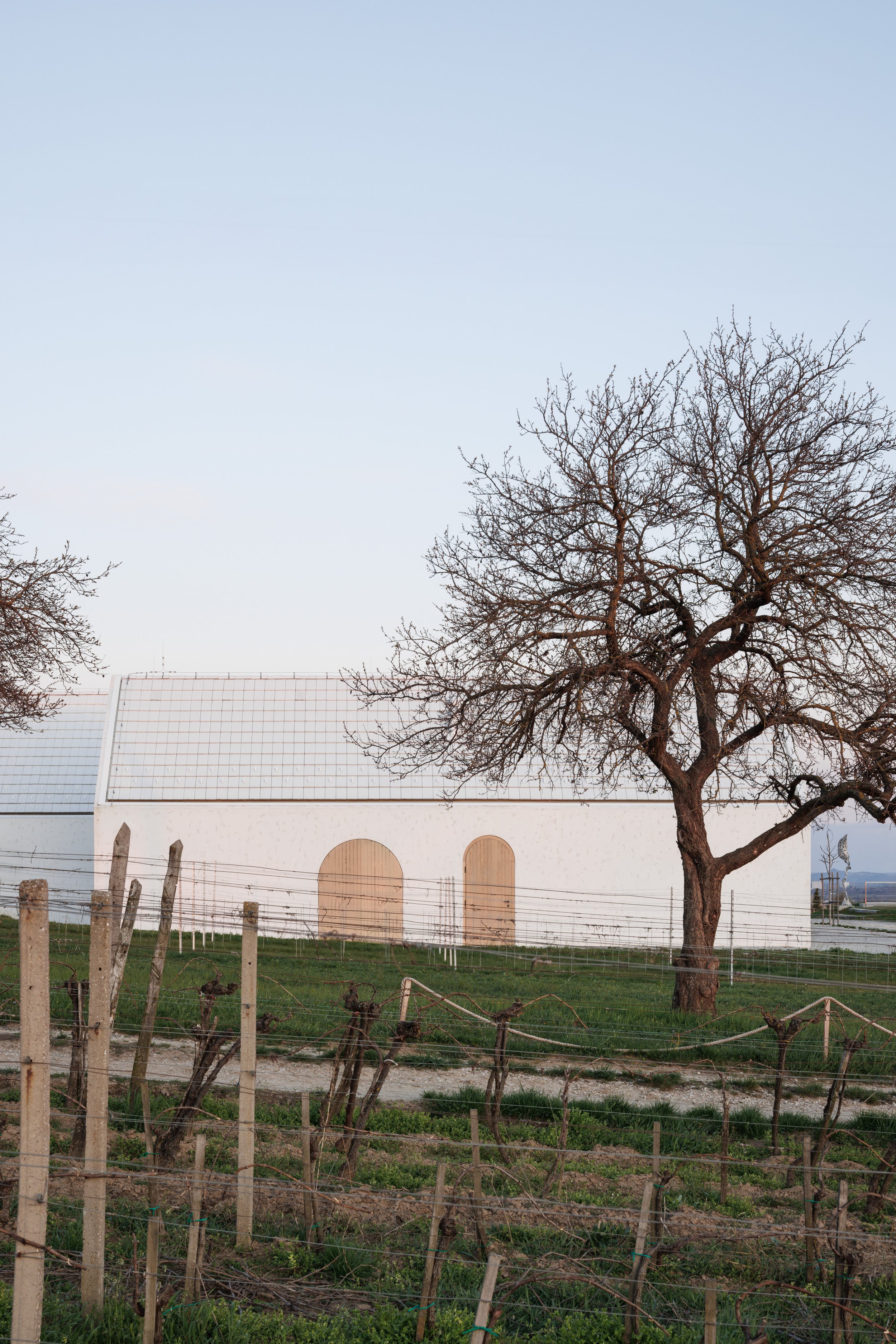 what-architects_matejhakar.com_L3A8970.jpeg