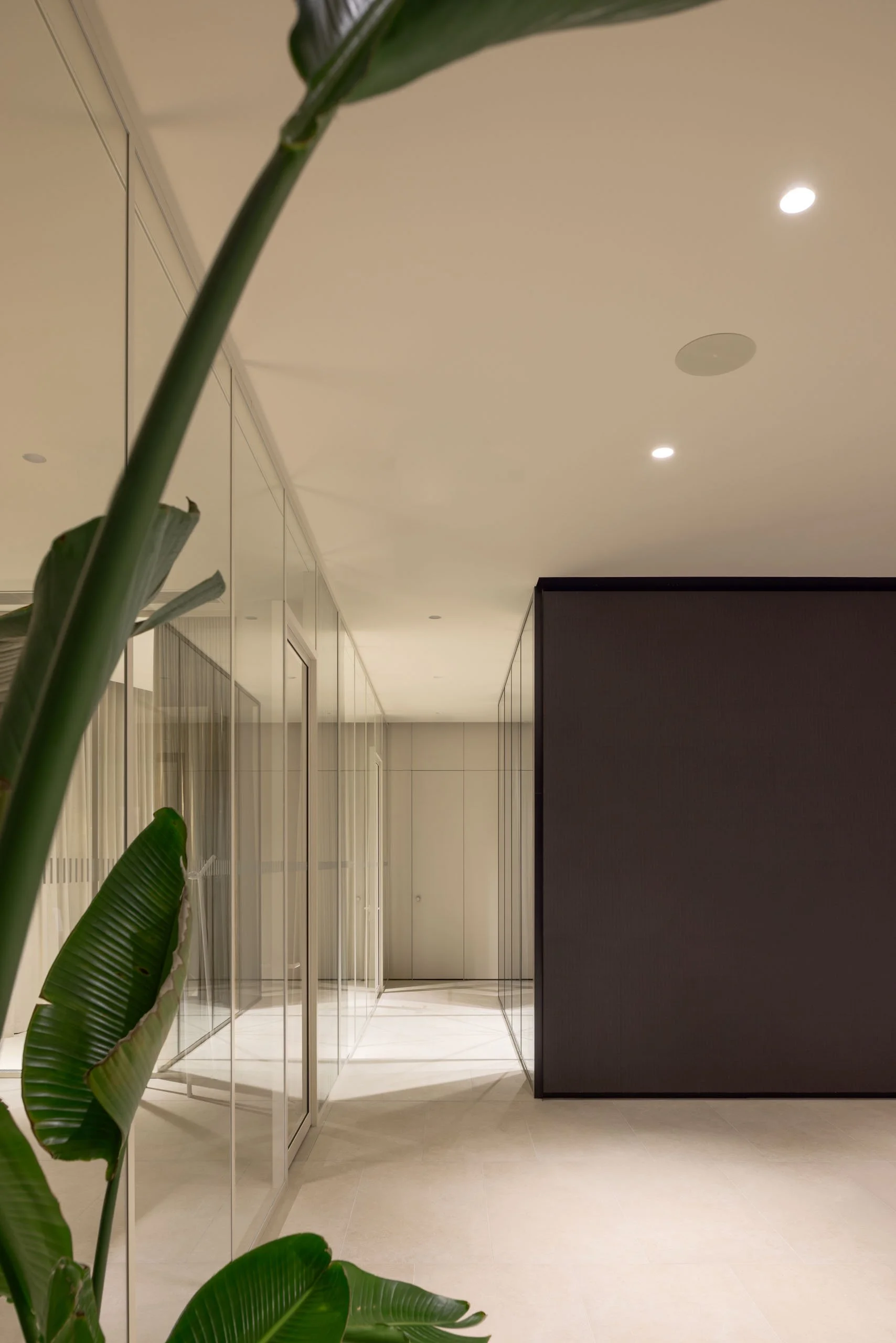 what_architects_matejhakar_L3A1205.jpeg