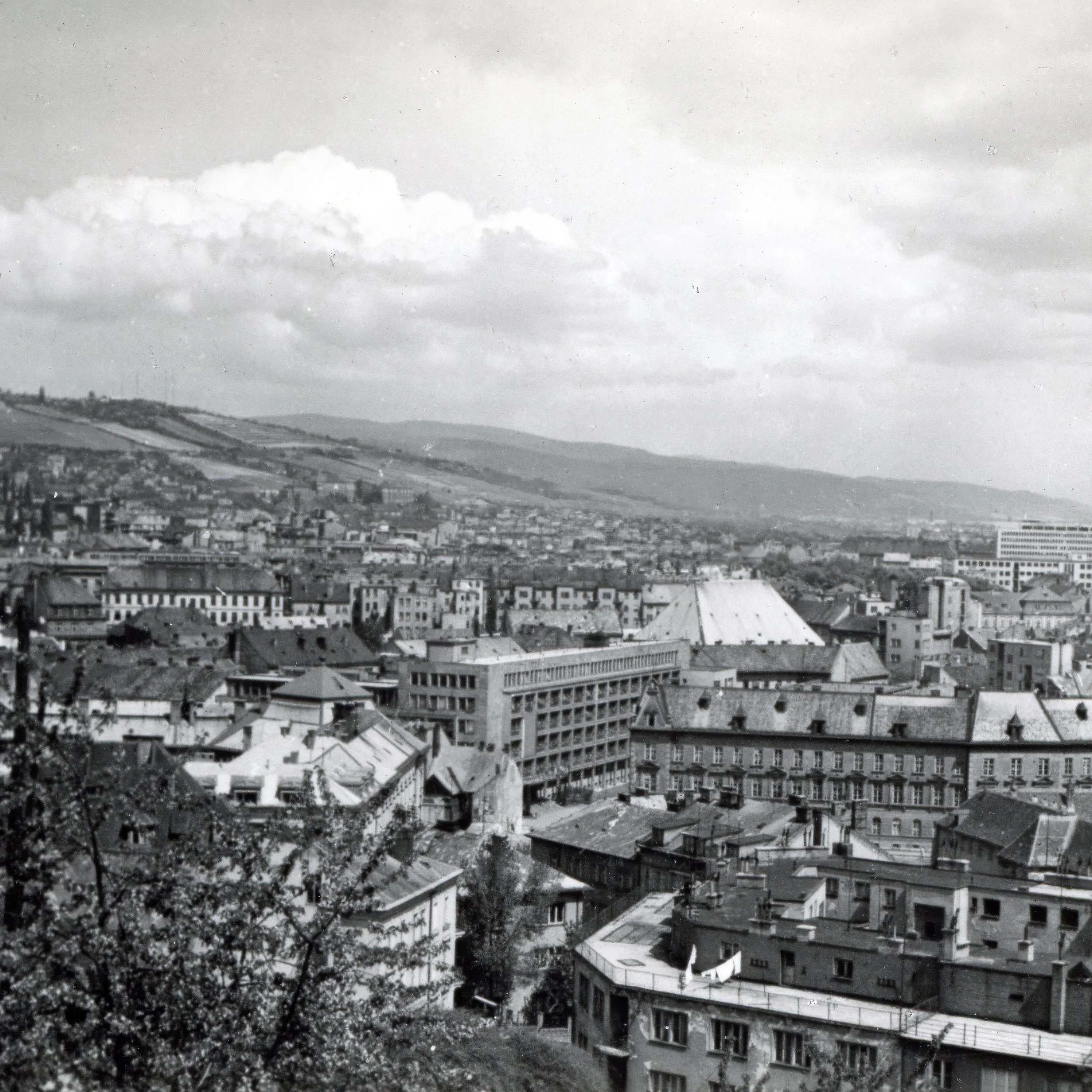 staro1.jpg