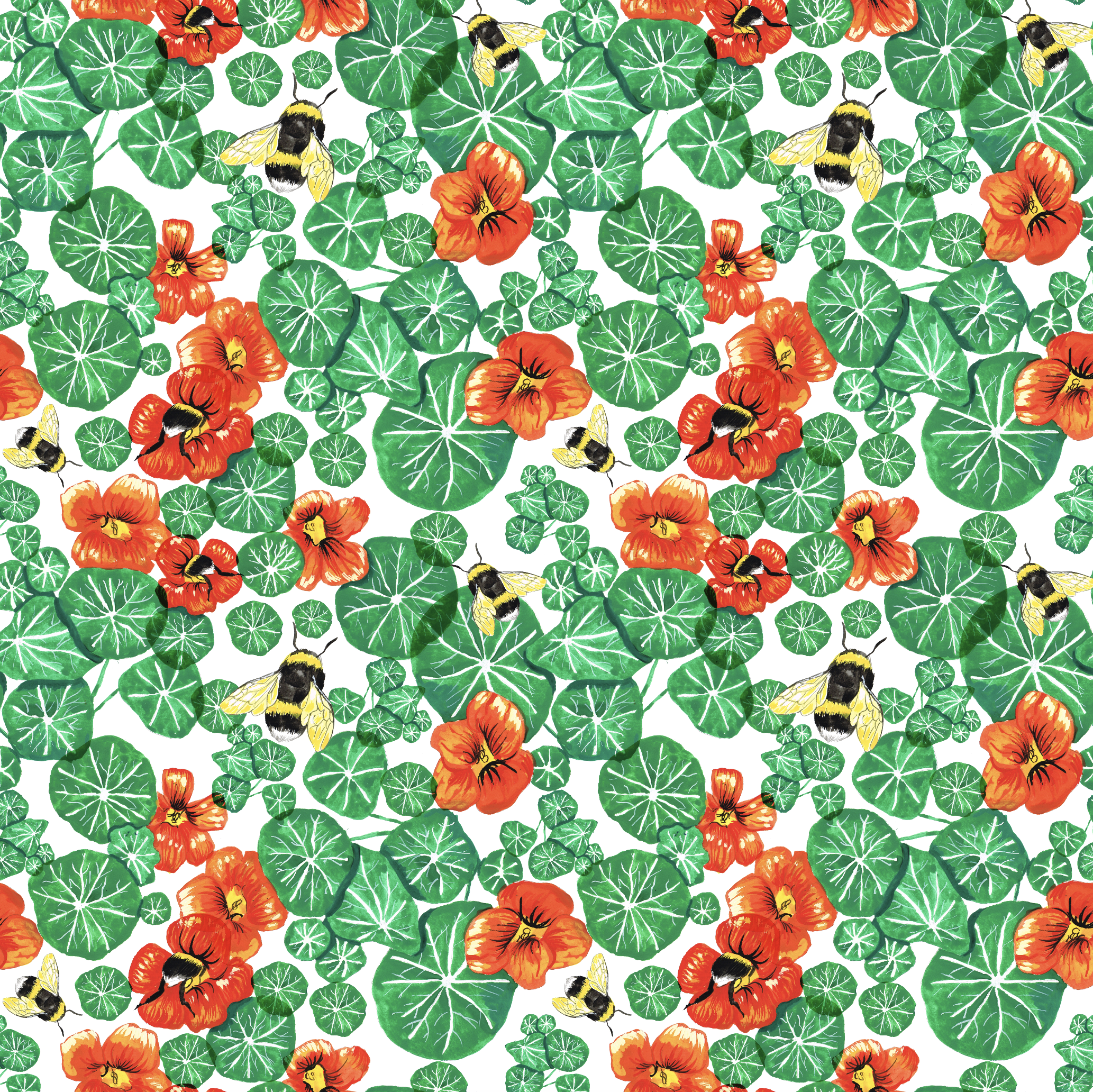Nasturtiums and Bees print