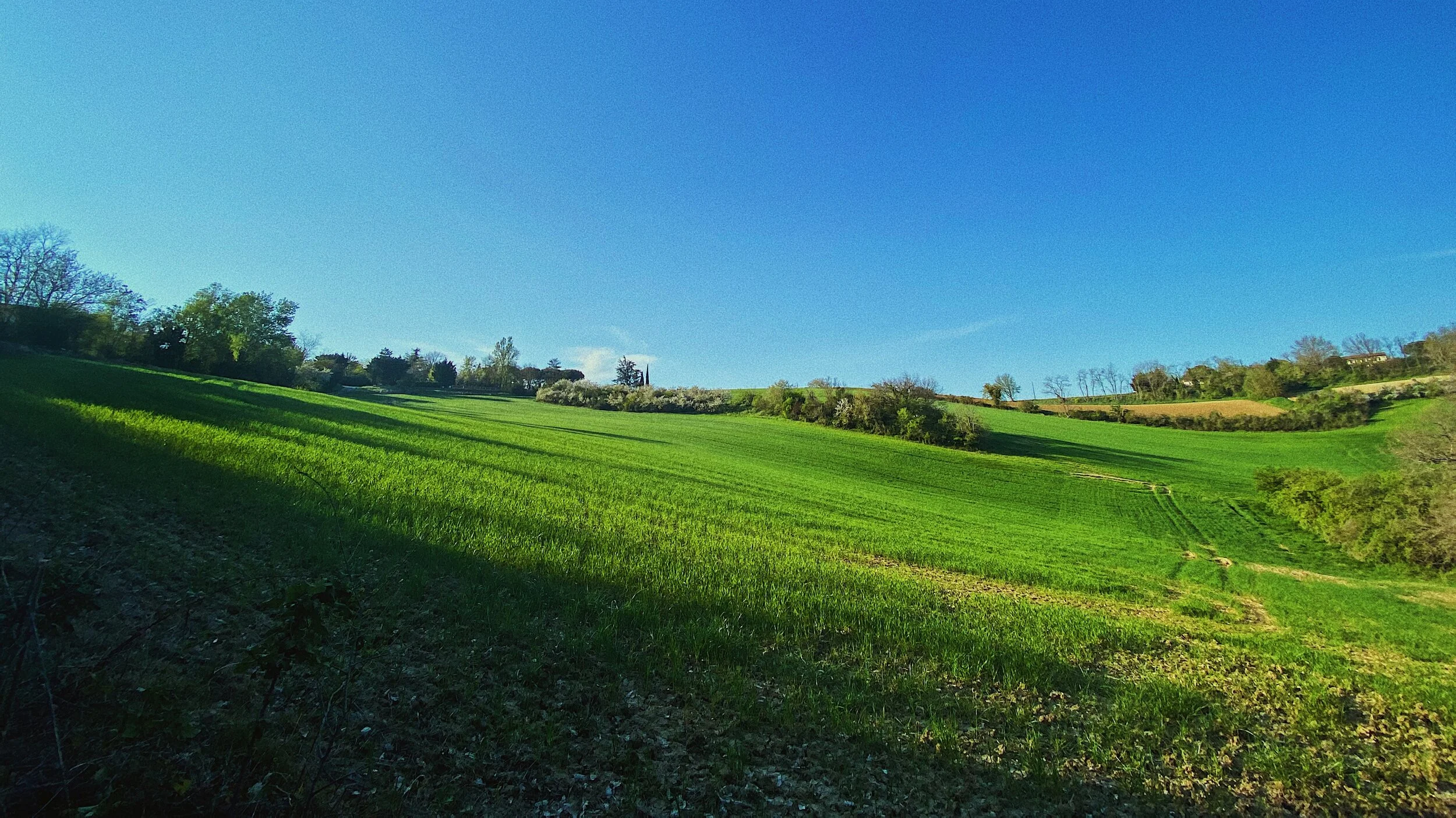 09E3107B-509E-4FA1-B4D9-1DB8365D0B22.JPG