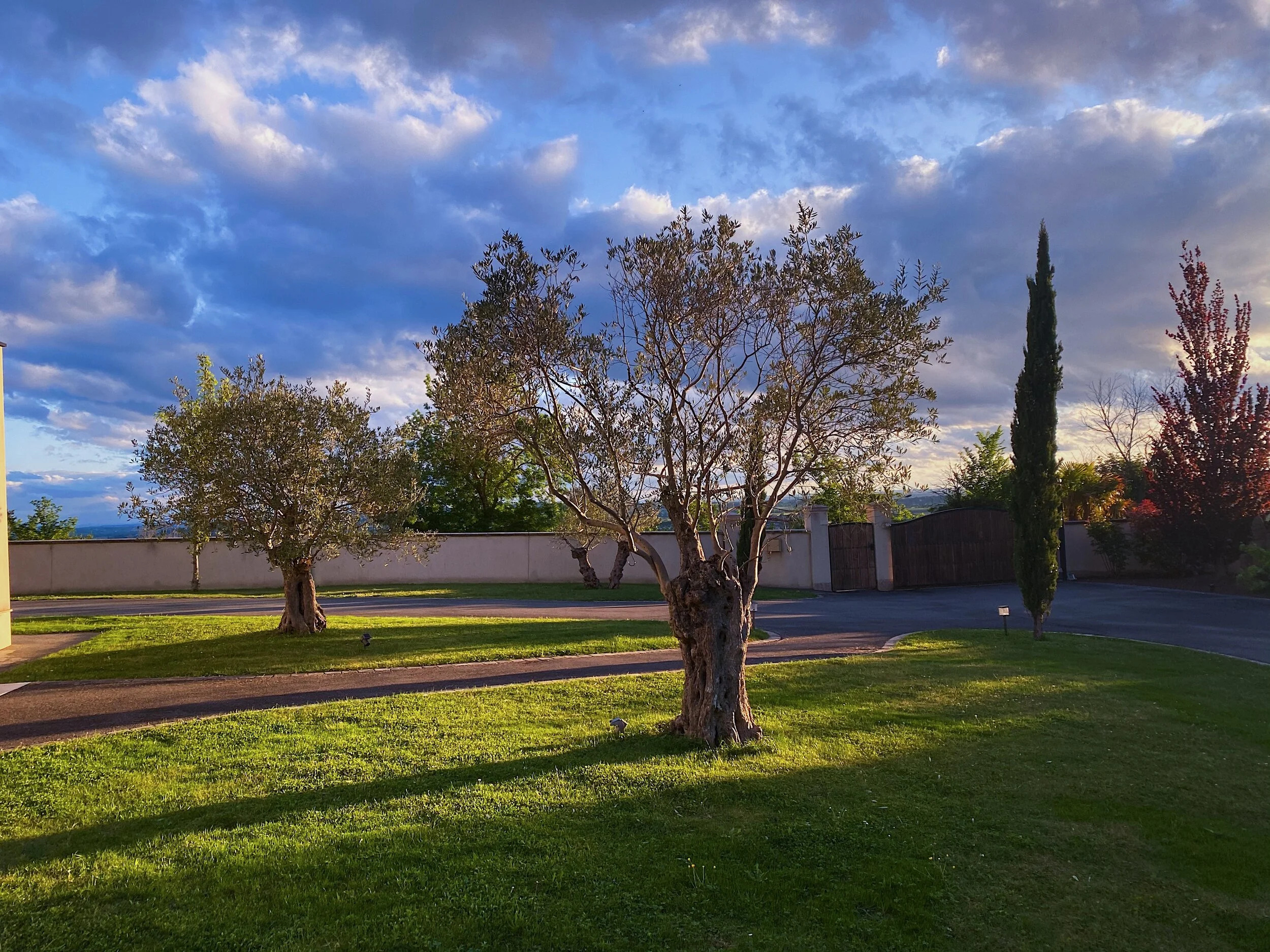 A60EB950-39EF-4DAA-A983-6CFE9AB4E7F8.JPG