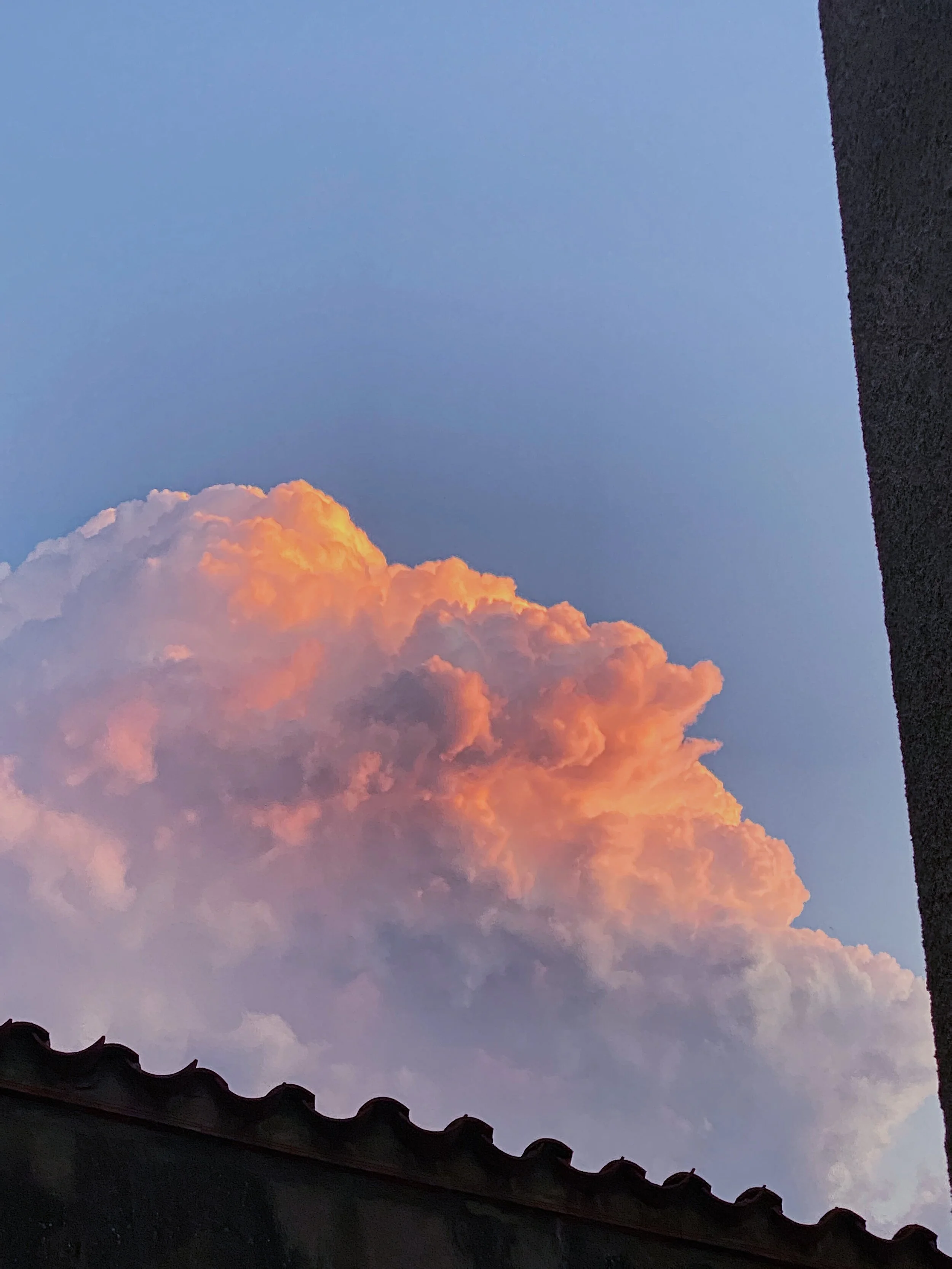 B0C8D485-EAE4-43DD-92D5-CAA31F69255A.JPG