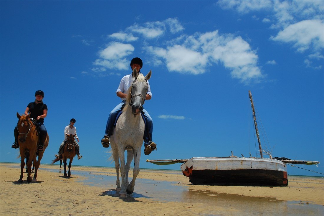mozambique-horse-riding-safari_1_horse-riding-safari-in-mozambique.jpg