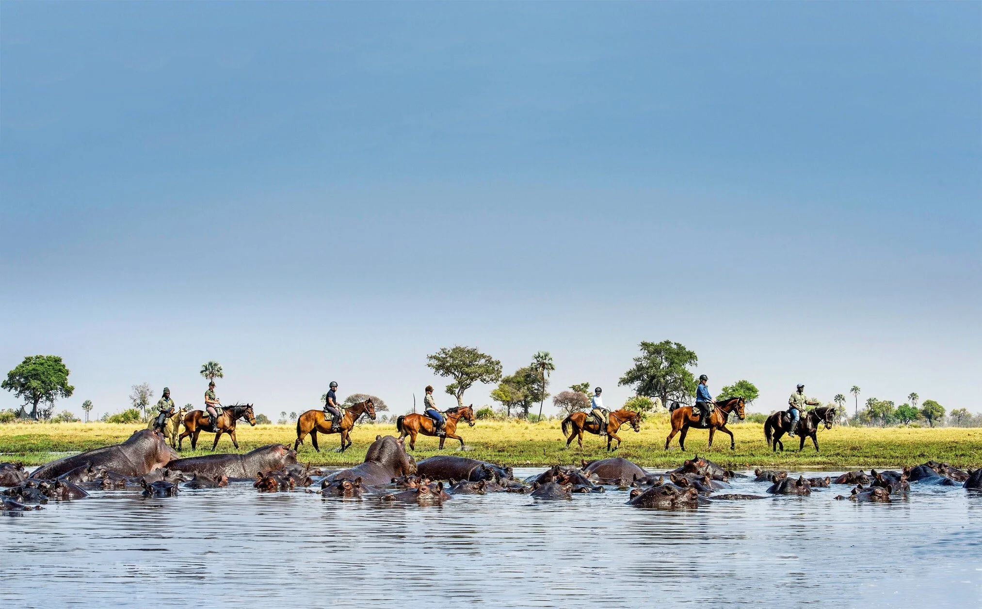 BackinTheSaddle-March2020-TR0320_CC_Botswana02.jpg