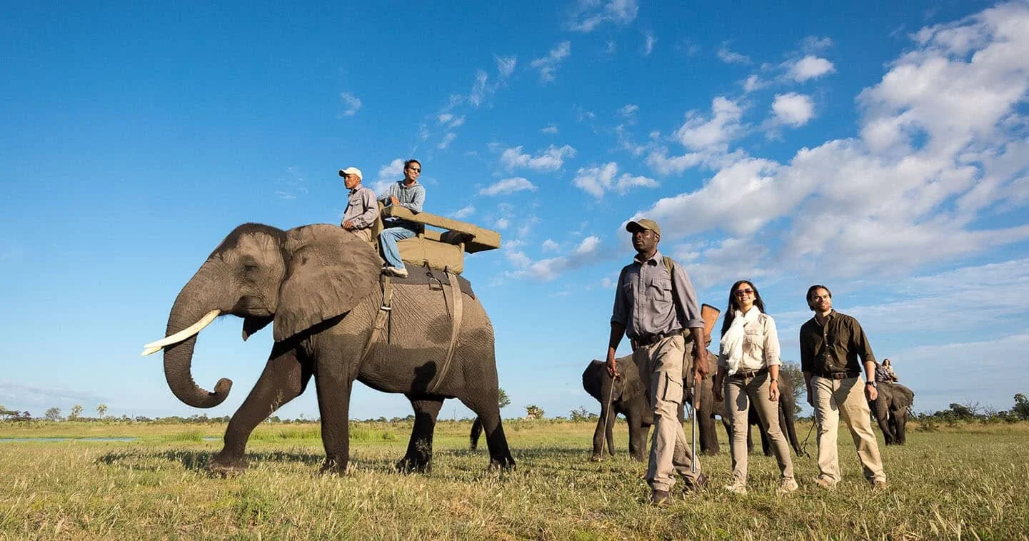 elephant-back-safari-abu-camp-botswana.jpg