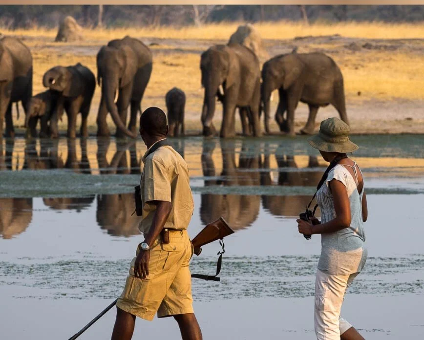 Adore-Africa-South-Africa-Inspirations-Private-Guides-Thumb-FA.jpg