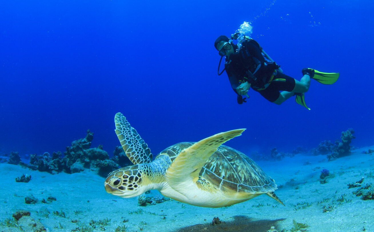 scuba-diving.jpg