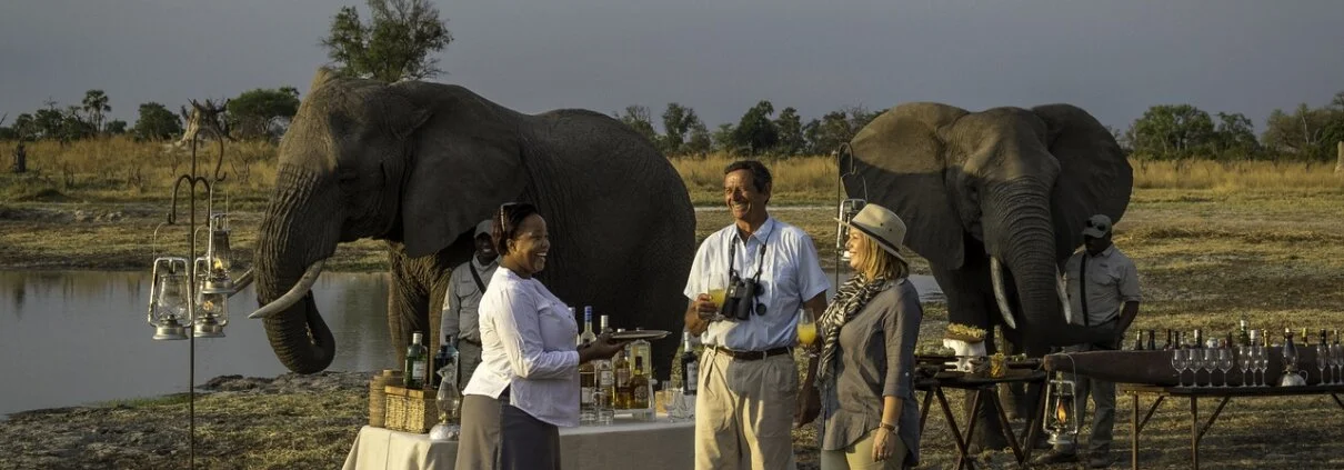 Elephant 5.jpg