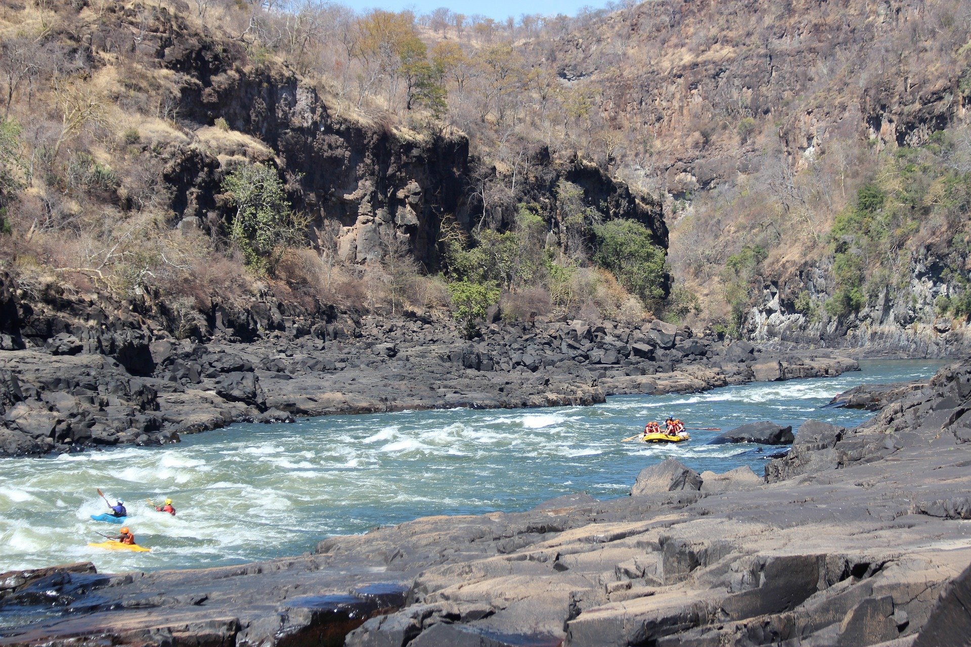 zambezi-1430640_1920.jpg