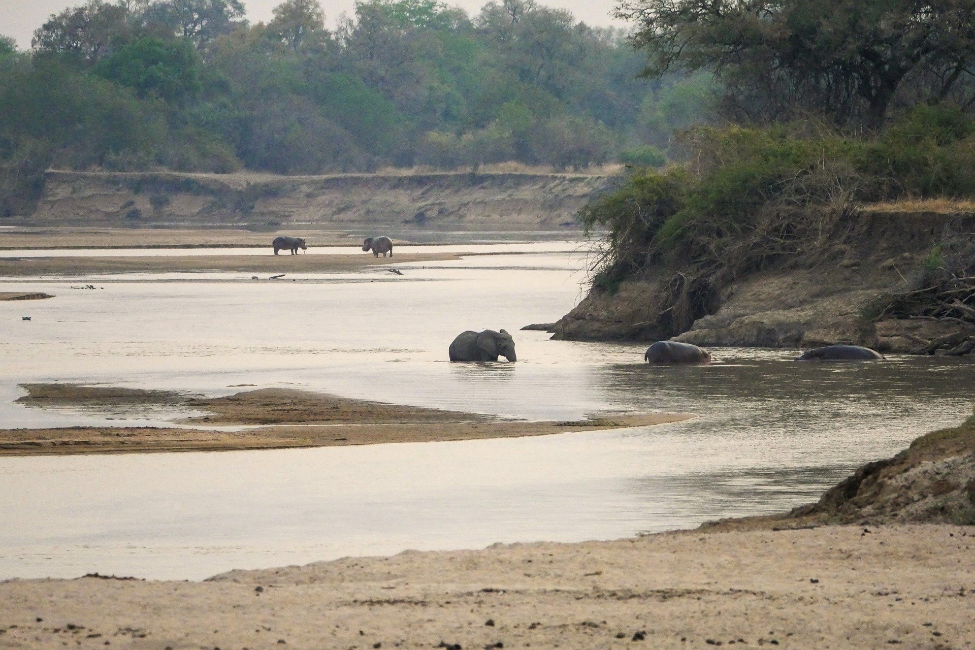 africa-7705226_1920.jpg
