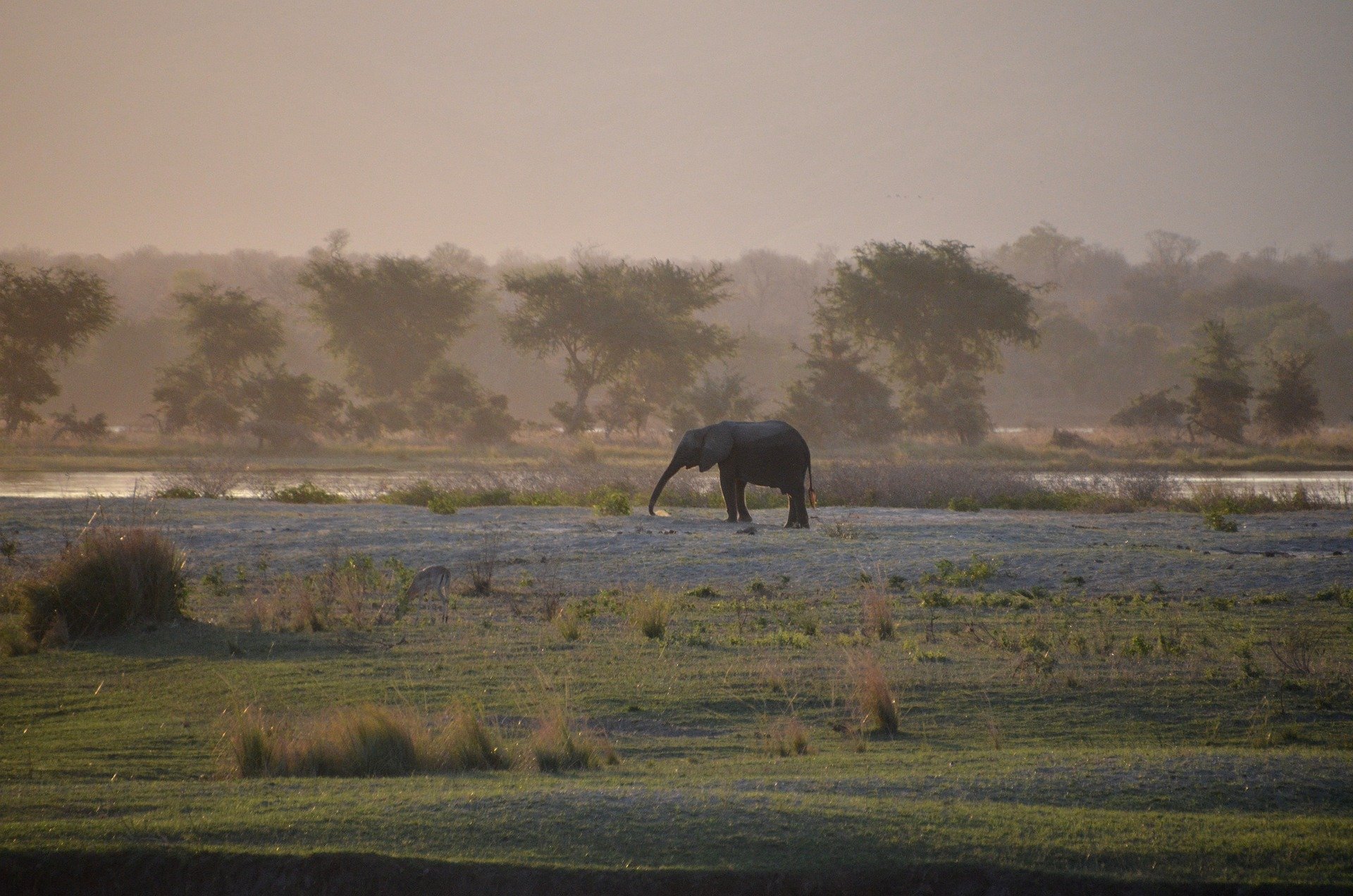 africa-568166_1920.jpg